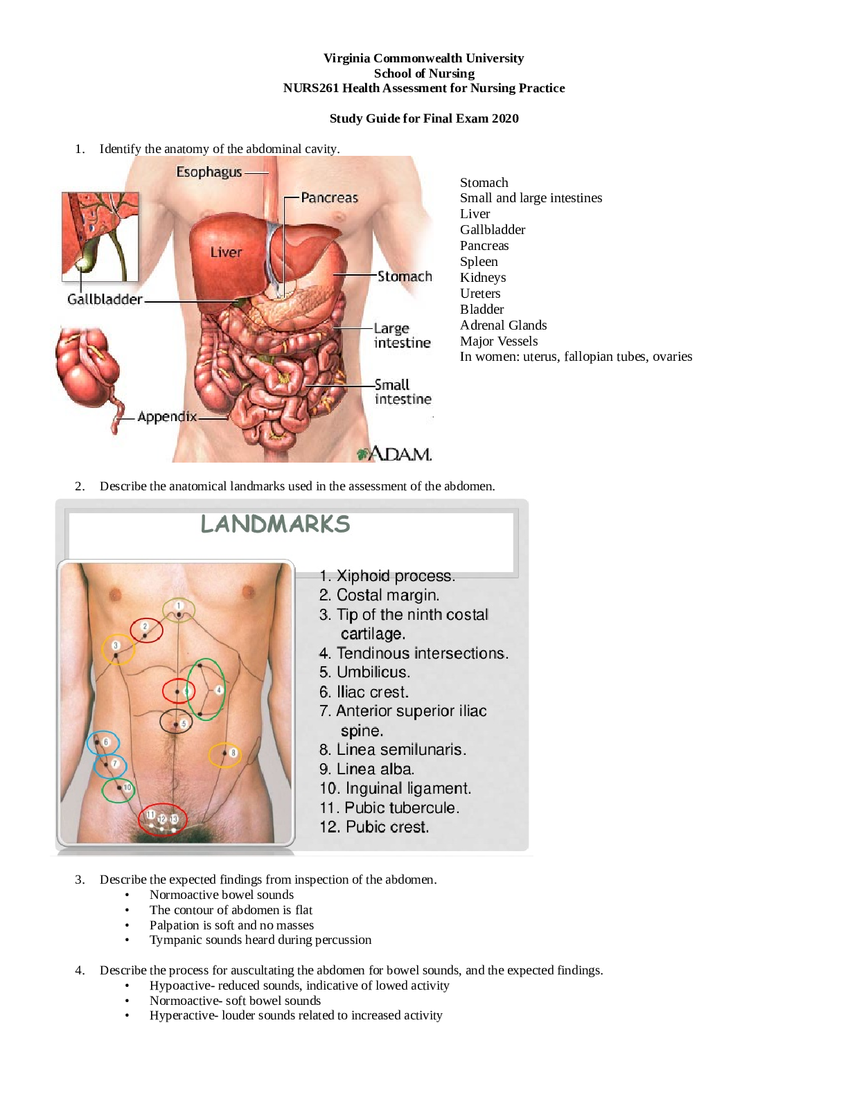 Preview image of 261- Final Exam Study Guide Summer 2020.docx document