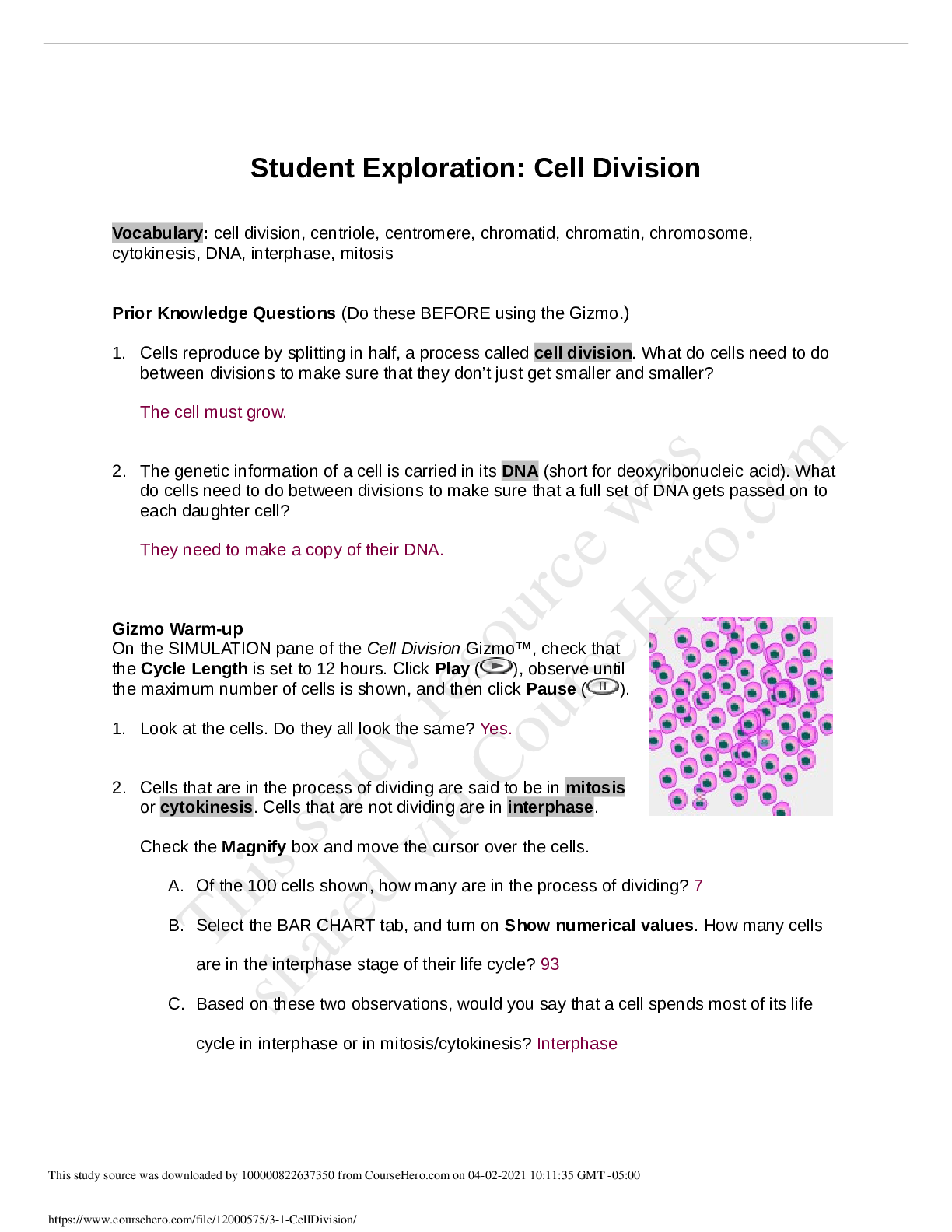 Preview image for 3_1-CellDivision