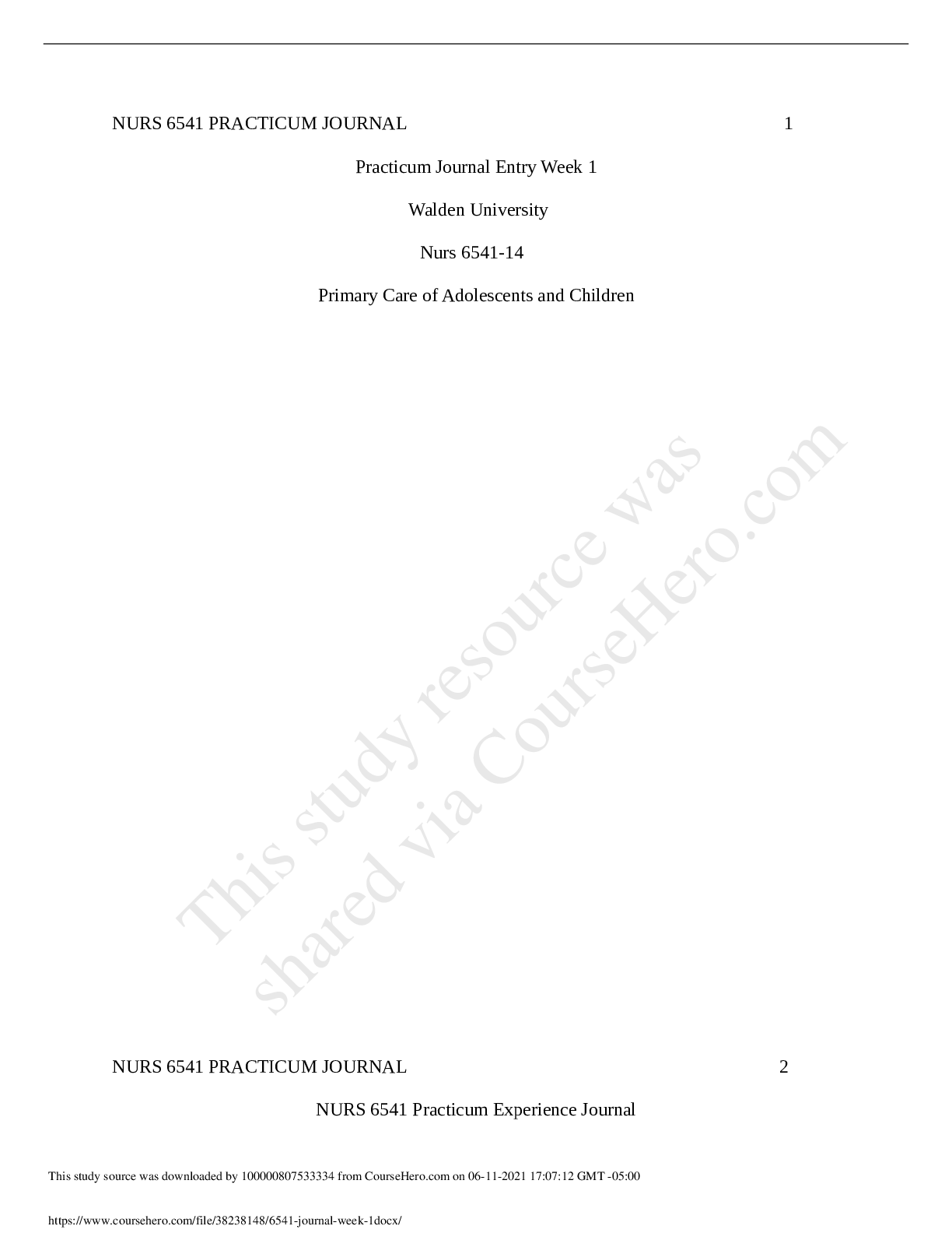 Preview image of NURS 6541 Journal week 1 document