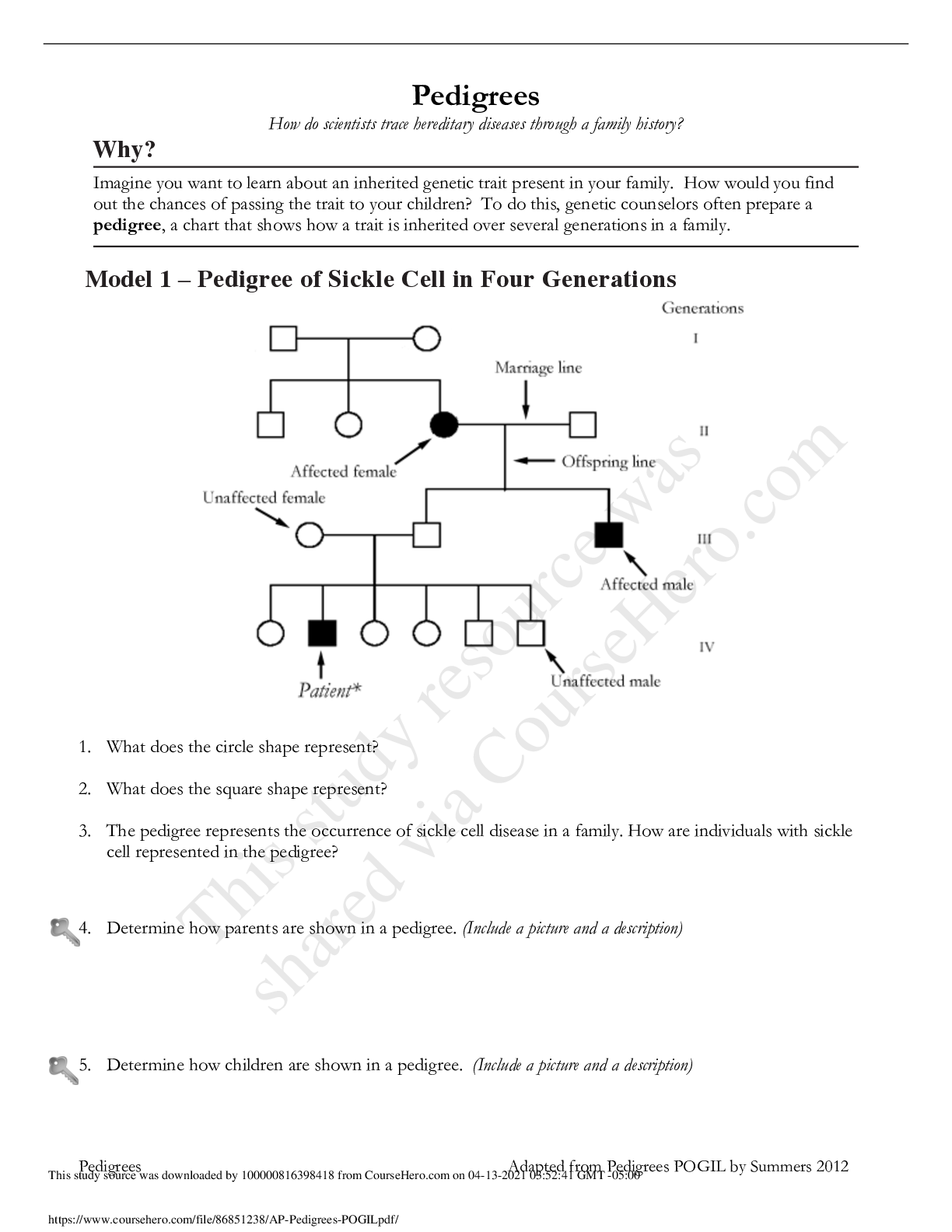 Preview image of BIOLOGY 3342 AP_Pedigrees_POGIL document