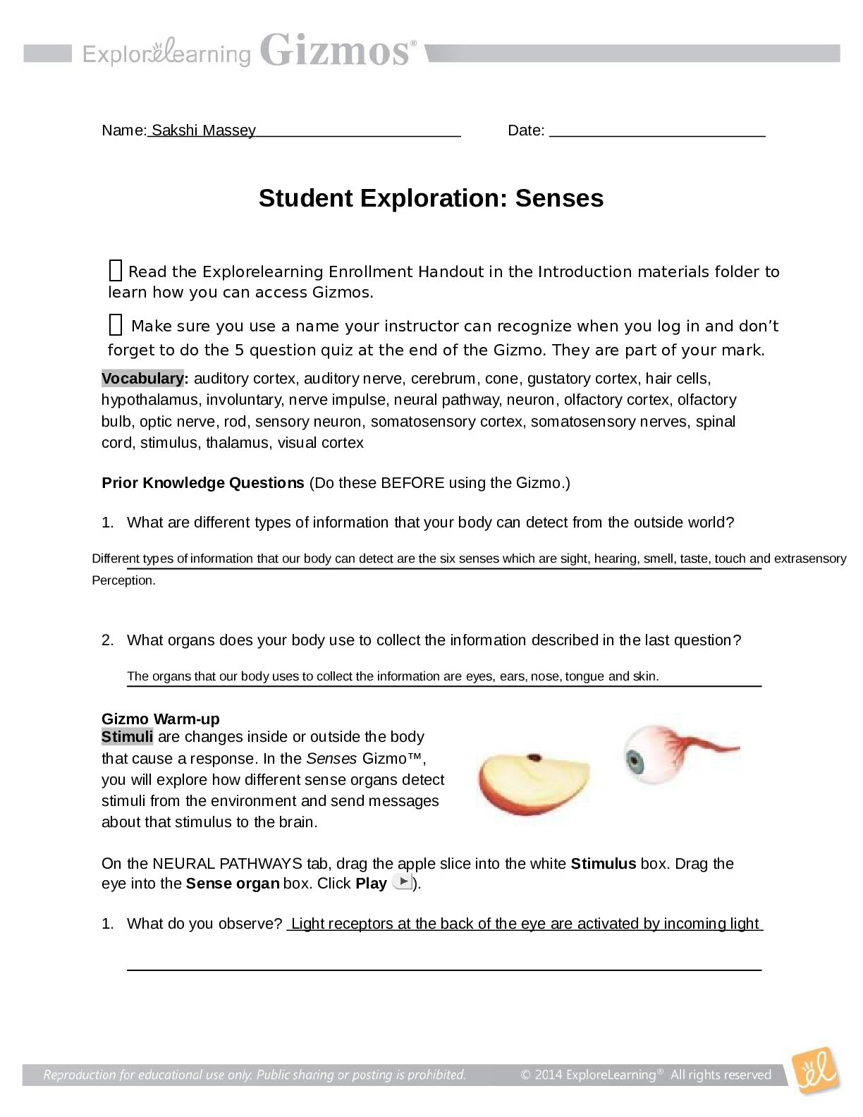 document-preview
