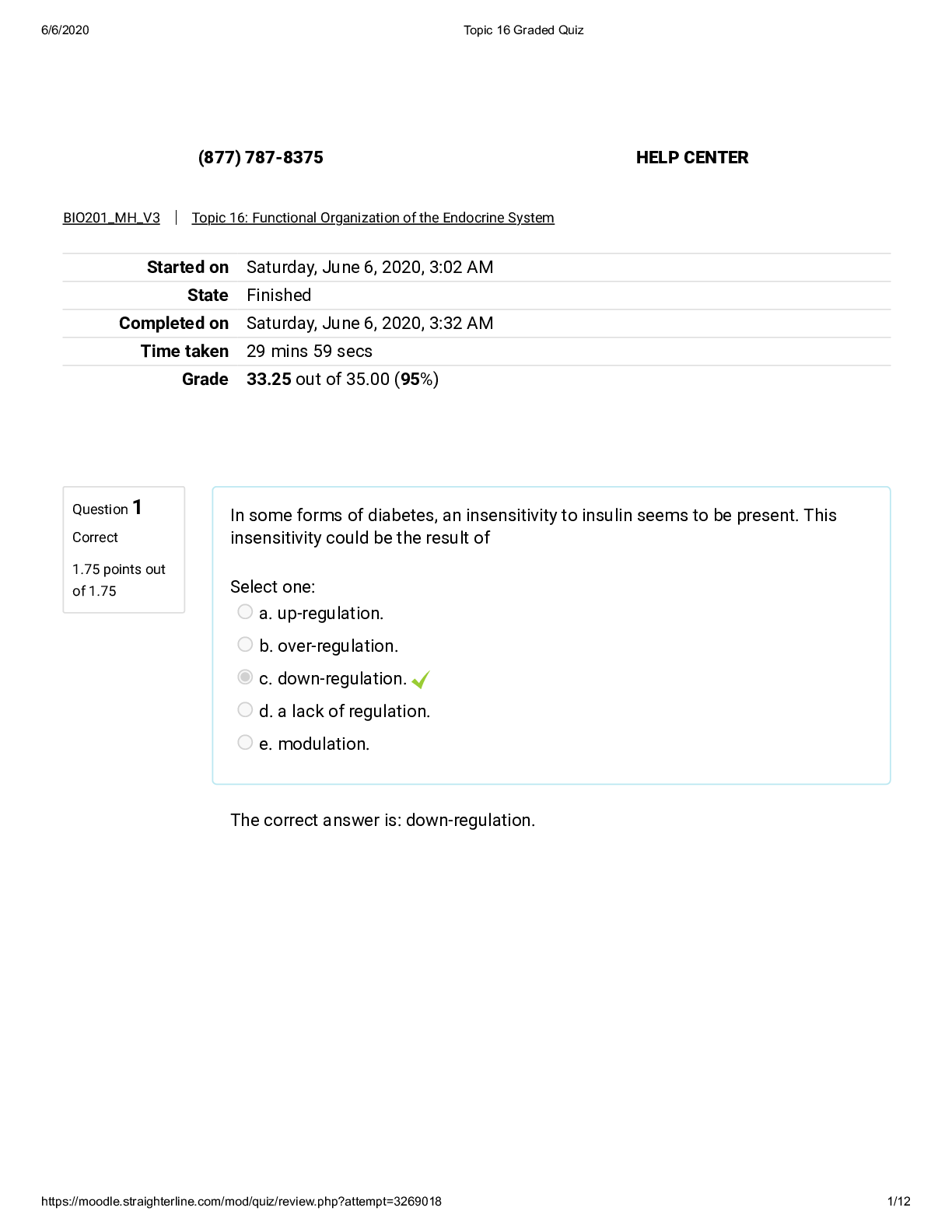 document-preview