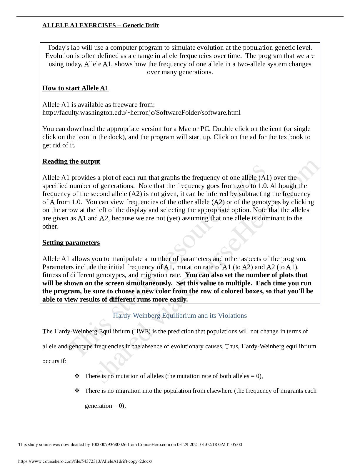 document-preview