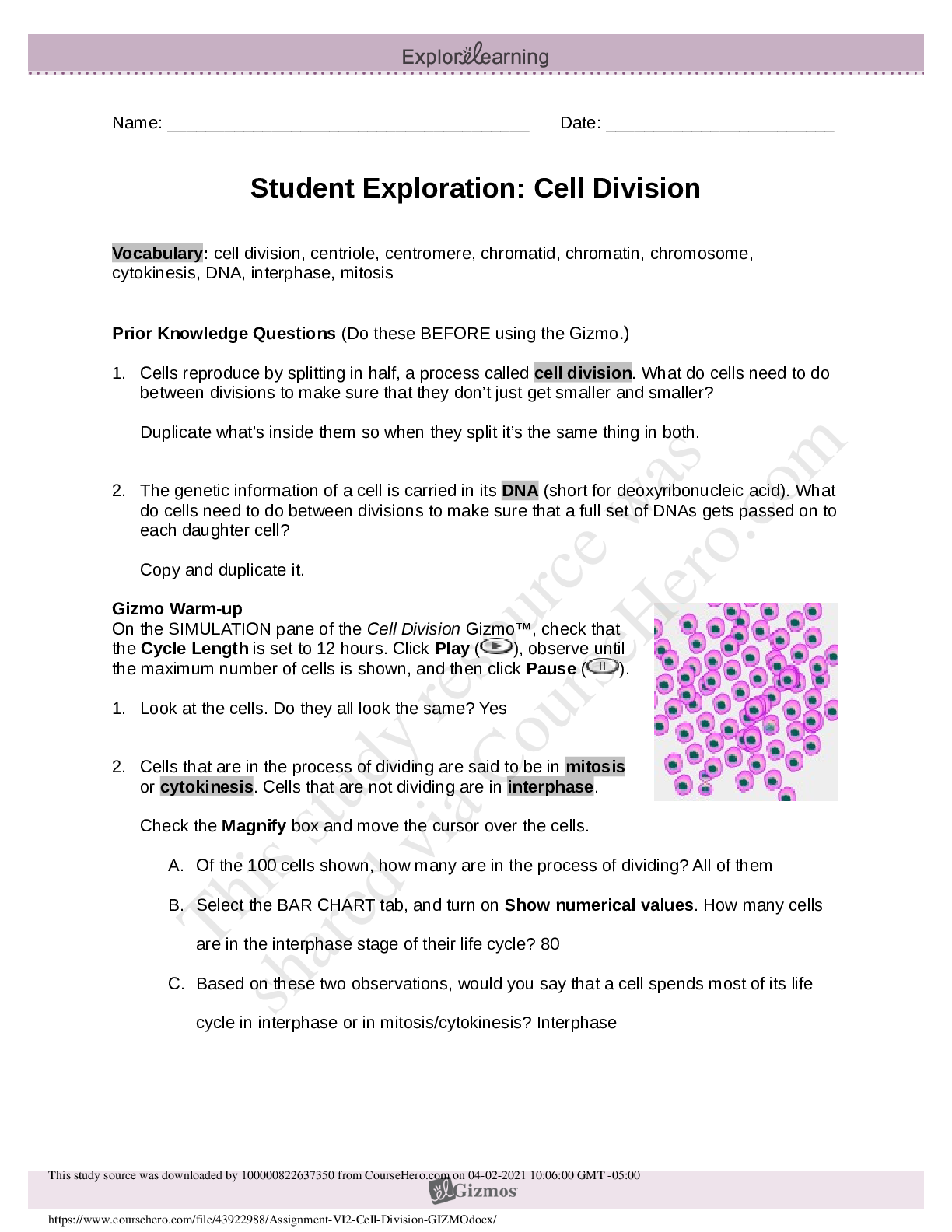 Preview image for Assignment VI.2 Cell Division GIZMO.