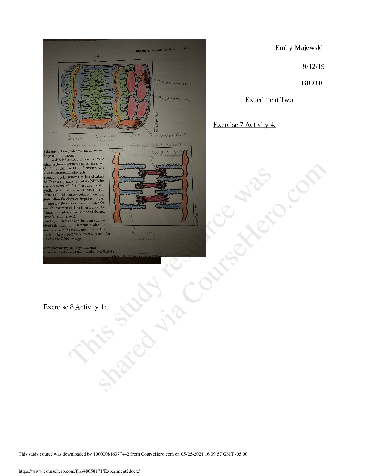 document-preview