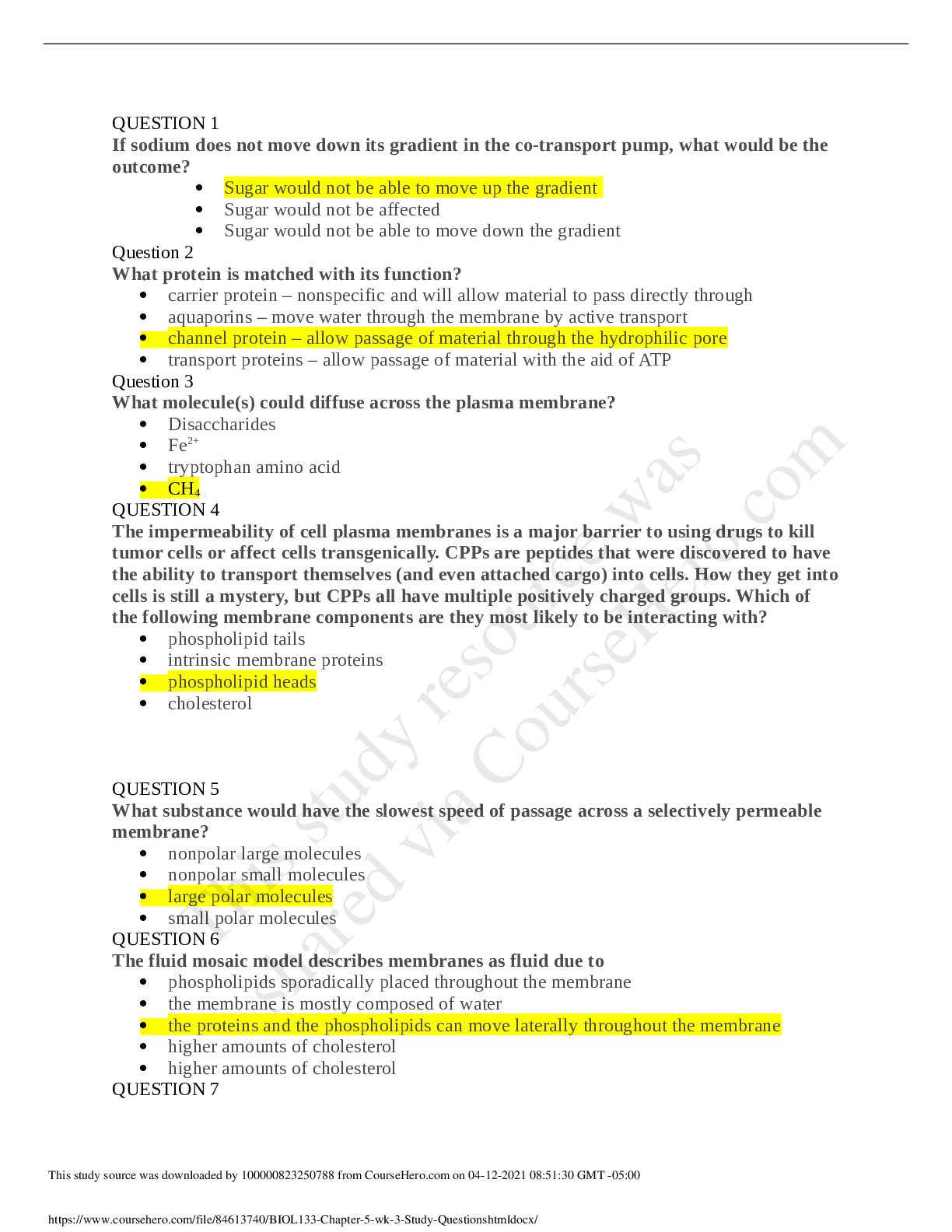 document-preview