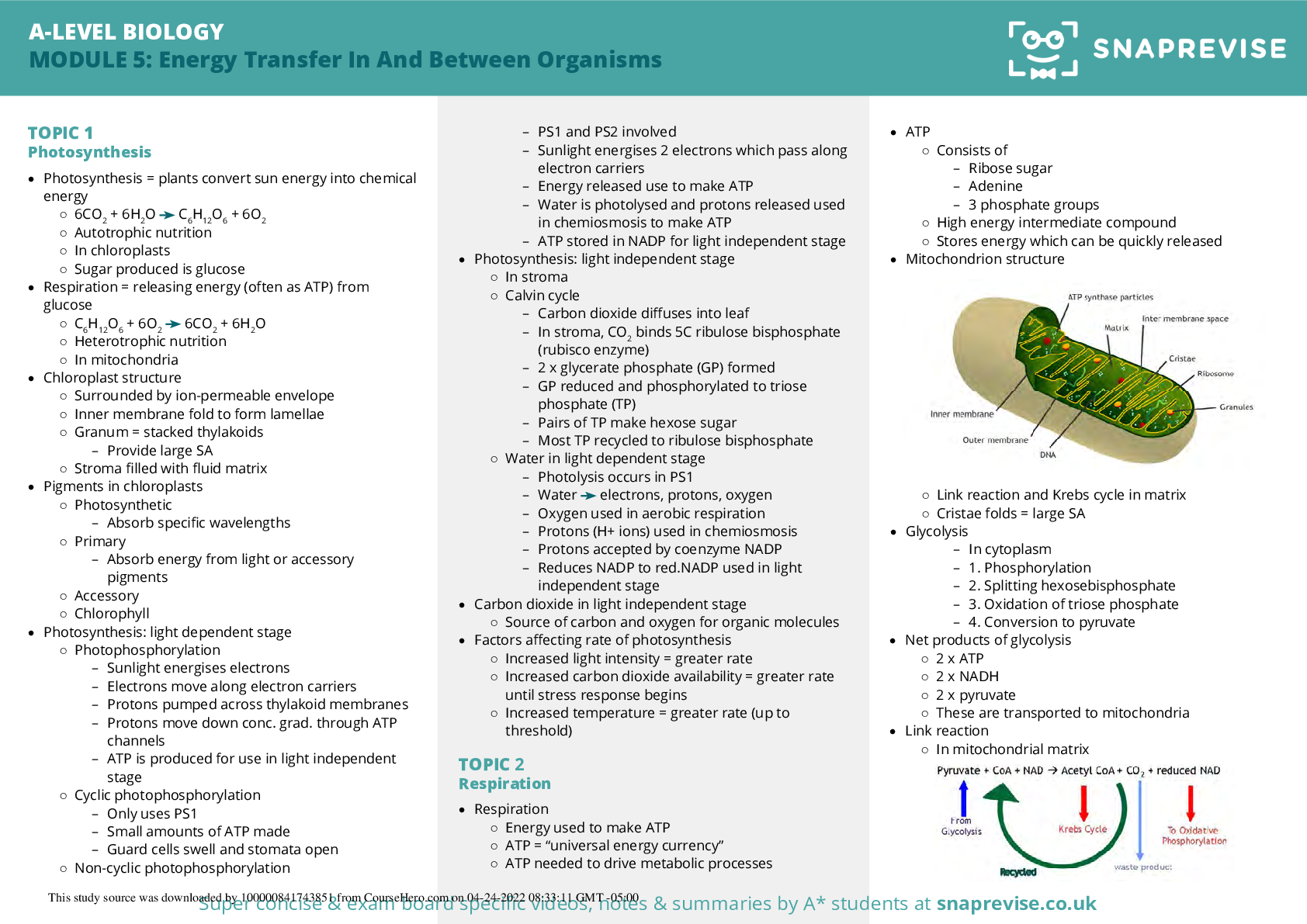 AQA A Level Biology Module 5 (Energy) Revision Notes | ScholarFriends