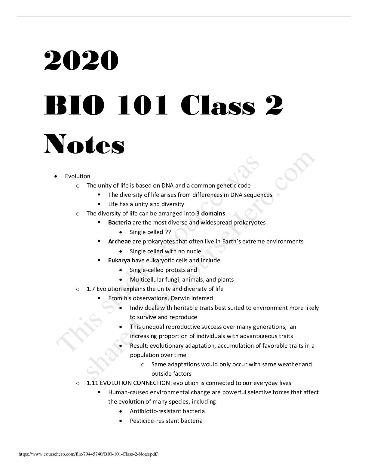 document-preview