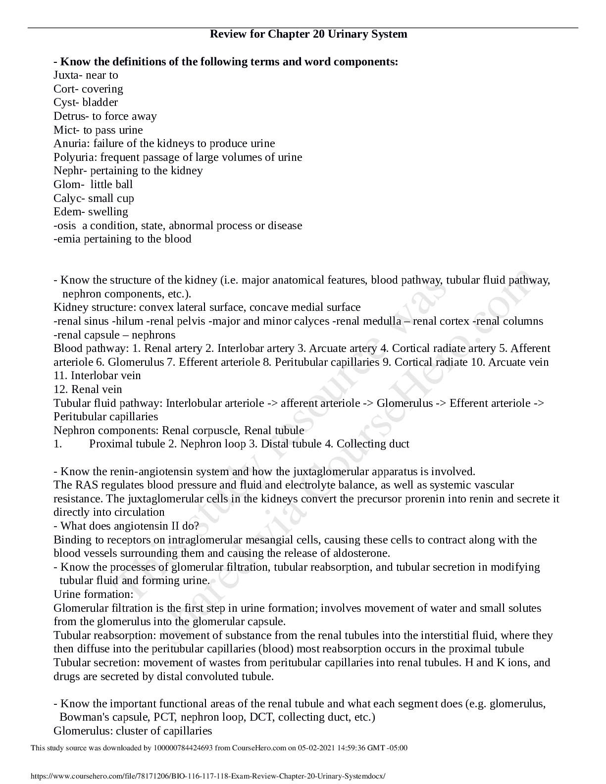 Preview of Northern Virginia Community CollegeBIO 116BIO 116_117_118 Exam Review Chapter 20 Urinary S