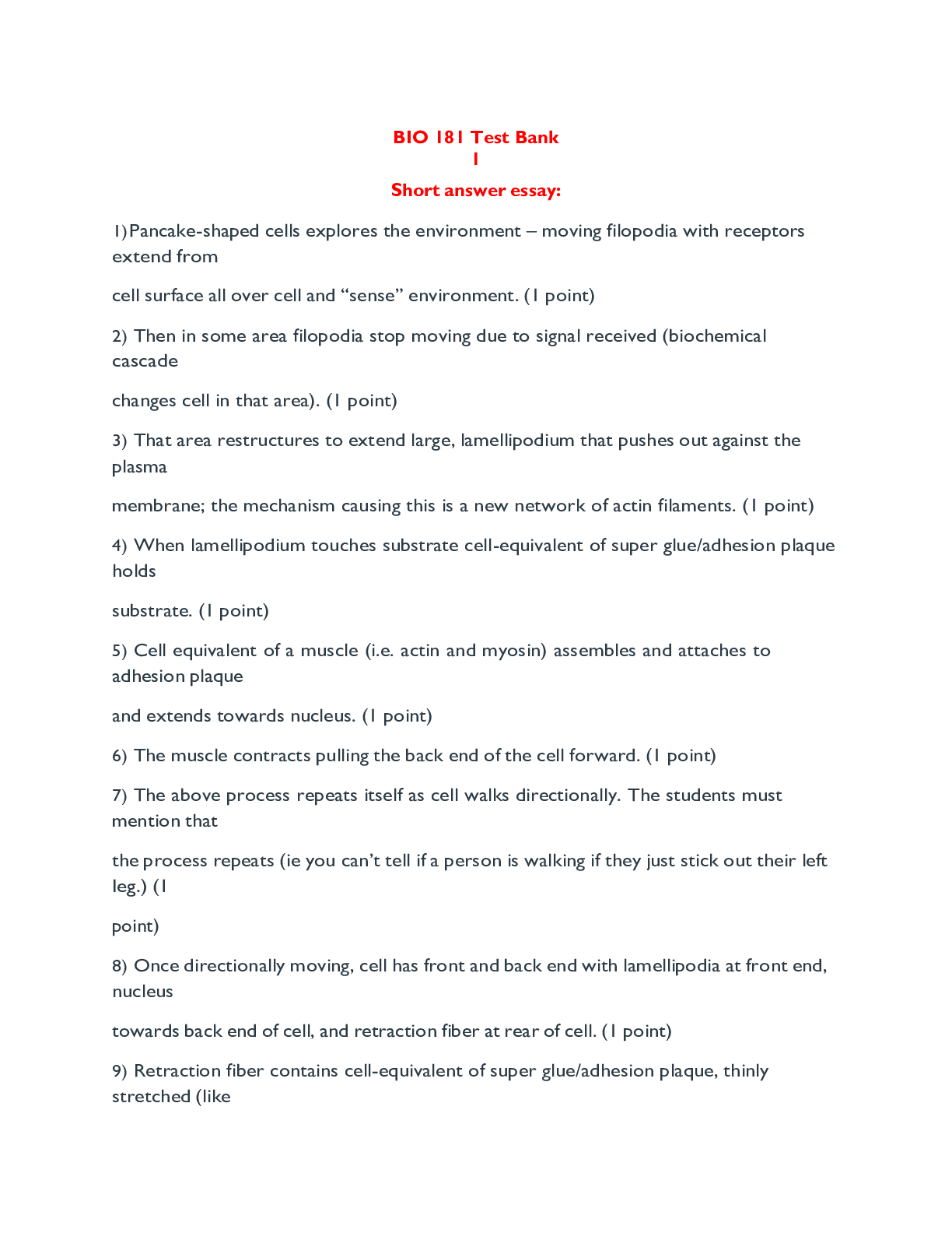 document-preview