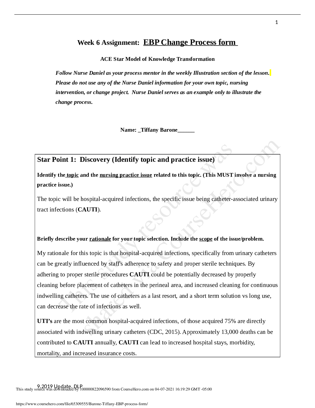 Preview image of Barone Tiffany EBP process form document