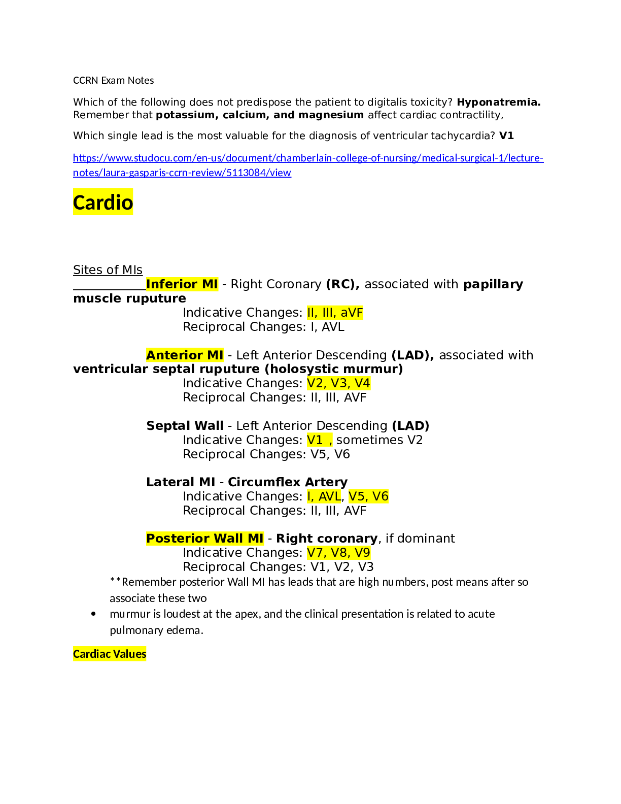 document-preview