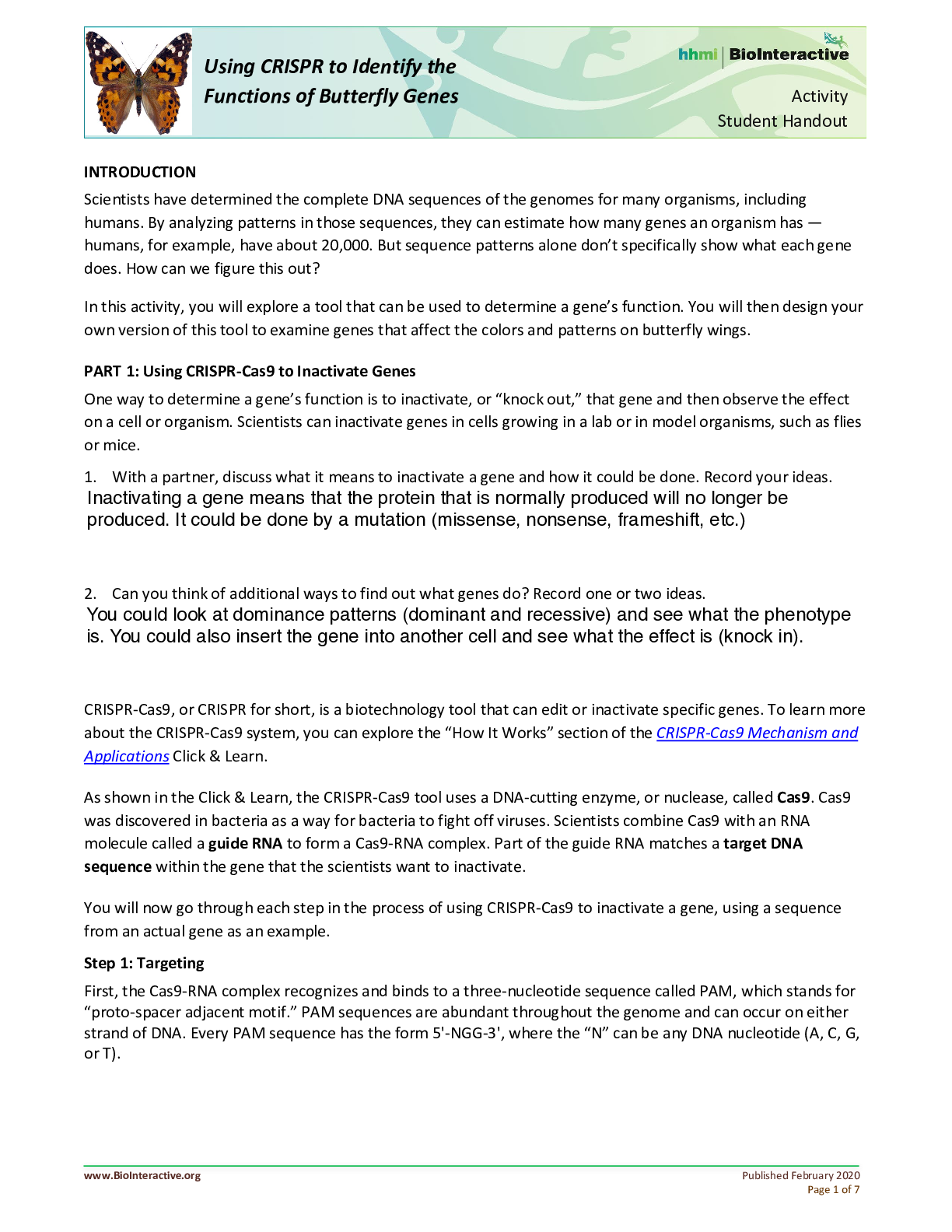 document-preview