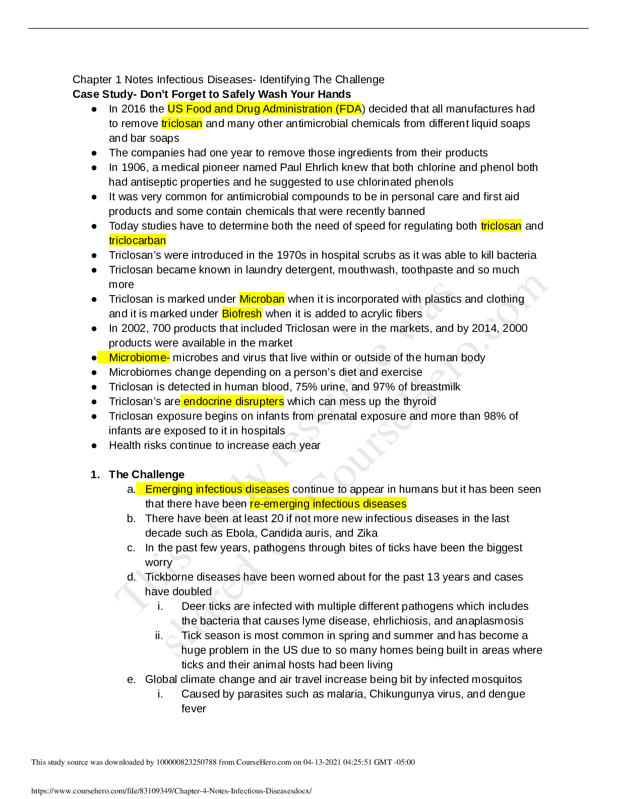 document-preview