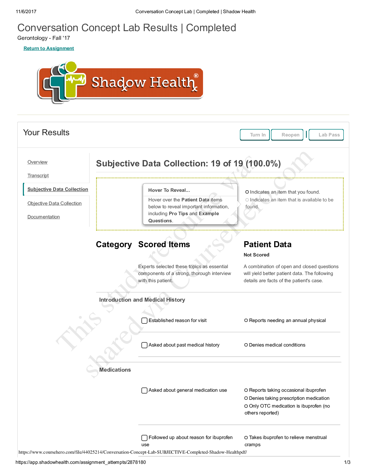 Preview of NRSE 4560 Conversation_Concept_Lab_SUBJECTIVE___Completed___Shadow_Health Gerontology (Gra