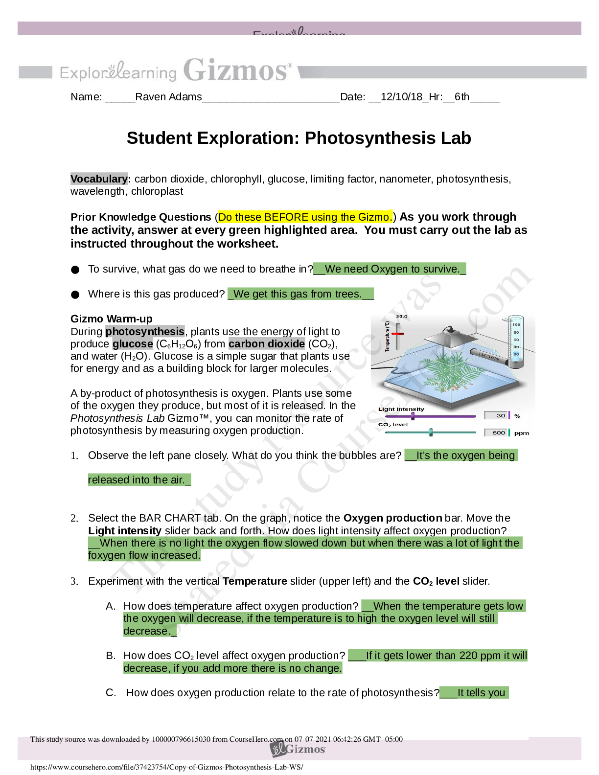 Preview image of Photosynthesis Lab Questions and Answers document