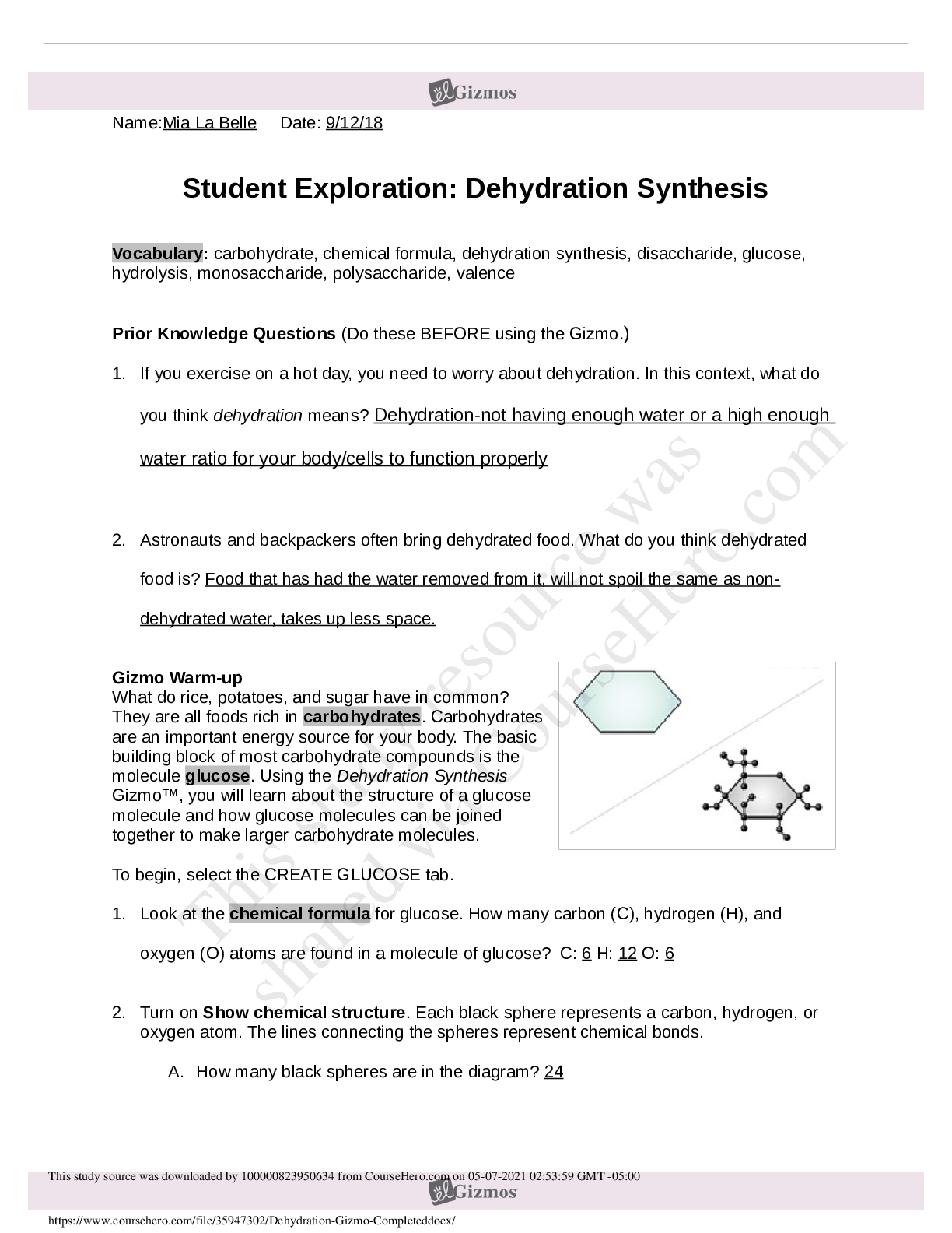 Preview image of Dehydration Gizmo-Completed-REVIEWED BY EXPERTS 2021 document