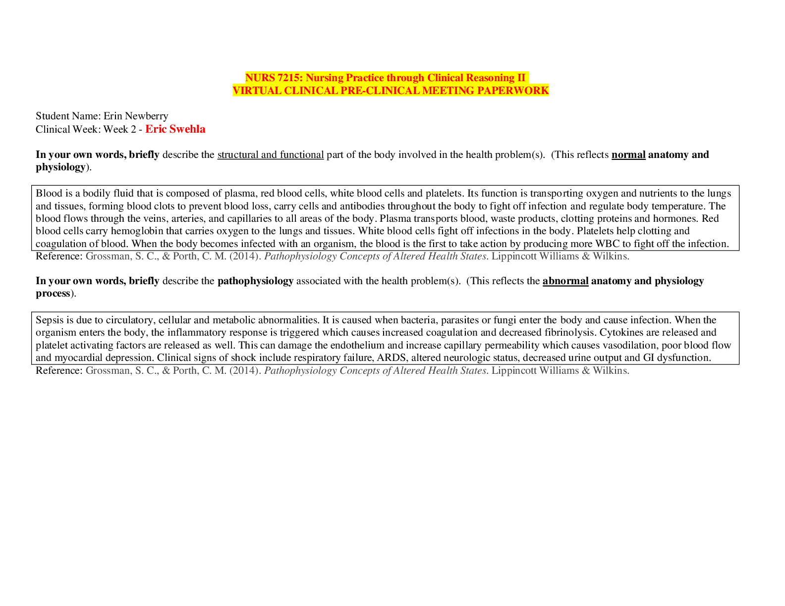 document-preview