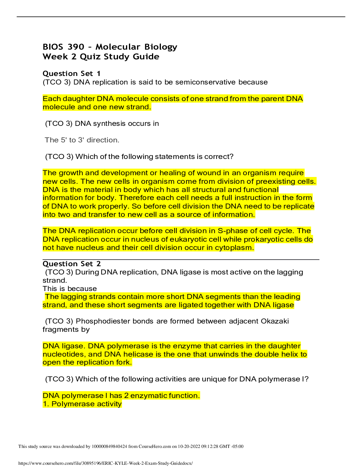 document-preview