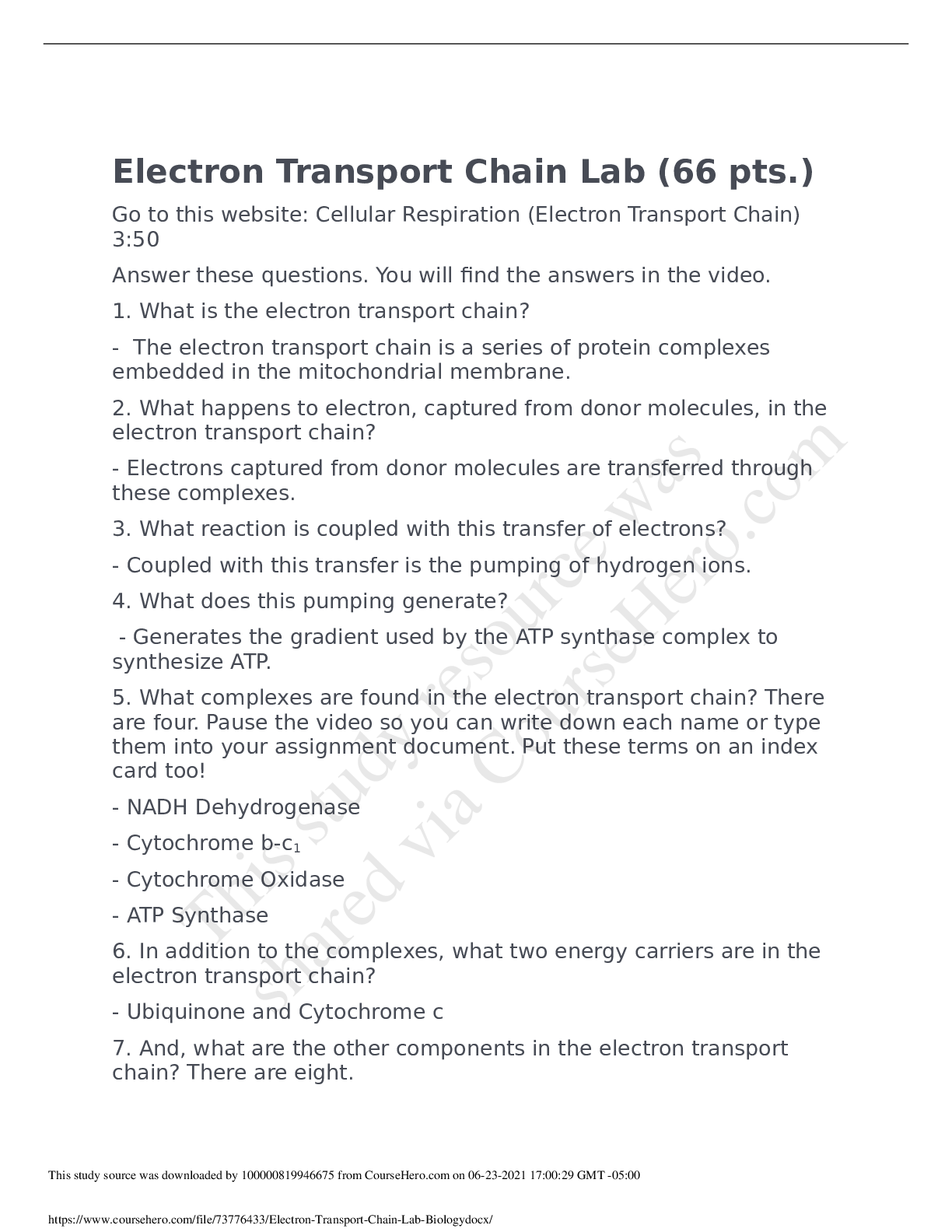 Preview image of Electron Transport Chain Lab_Biology document
