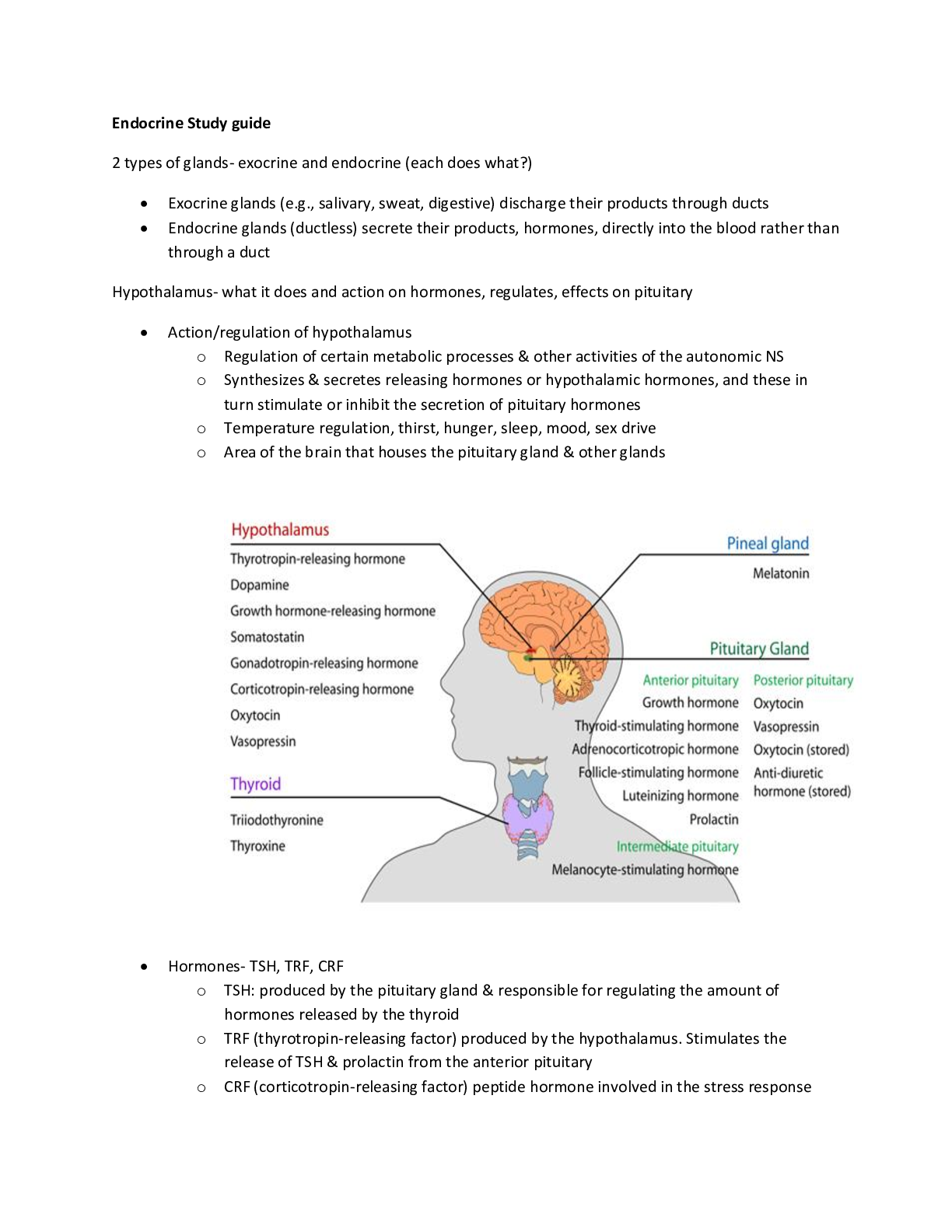 Preview image of Auburn University, Montgomery - NURSING 3240 Endocrine Study guide 2 (Latest complete solution guide) document