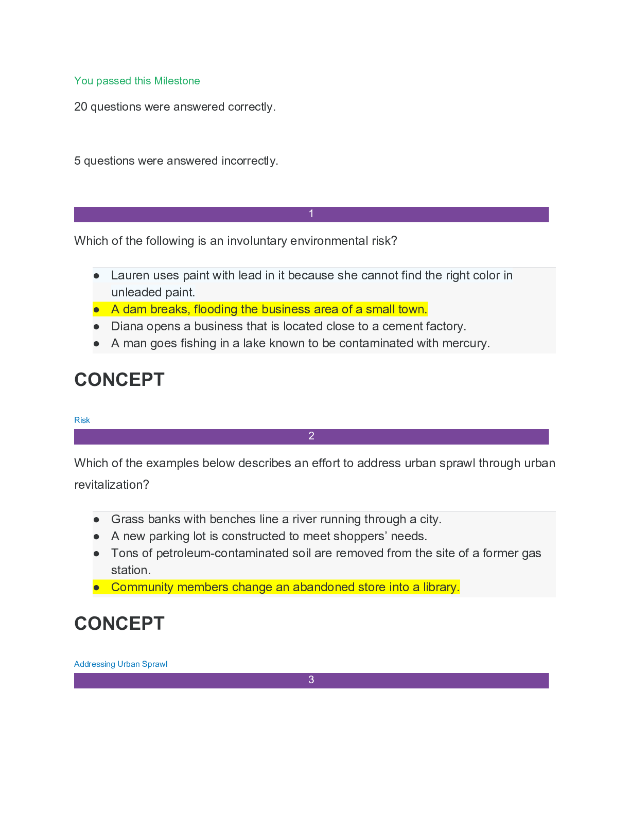 document-preview