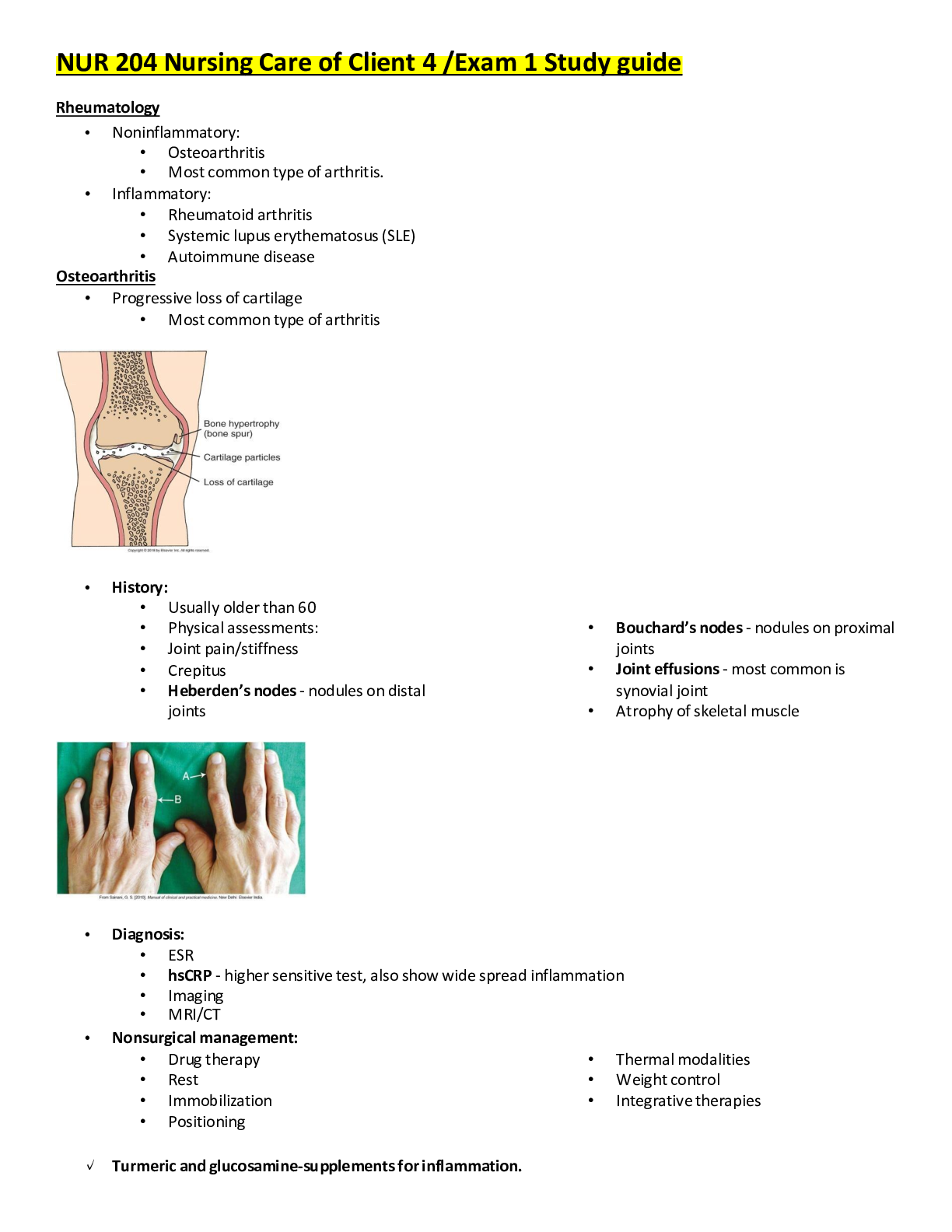 Preview of NUR 204 Nursing Care of Client 4 /Exam 1 Study guide /Download To Score A