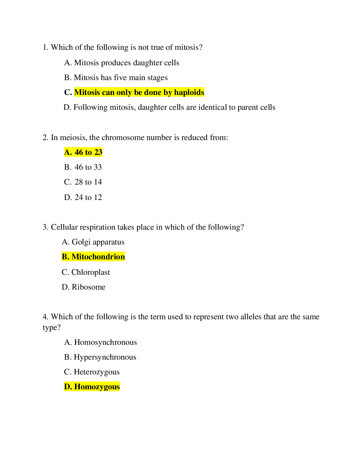 document-preview