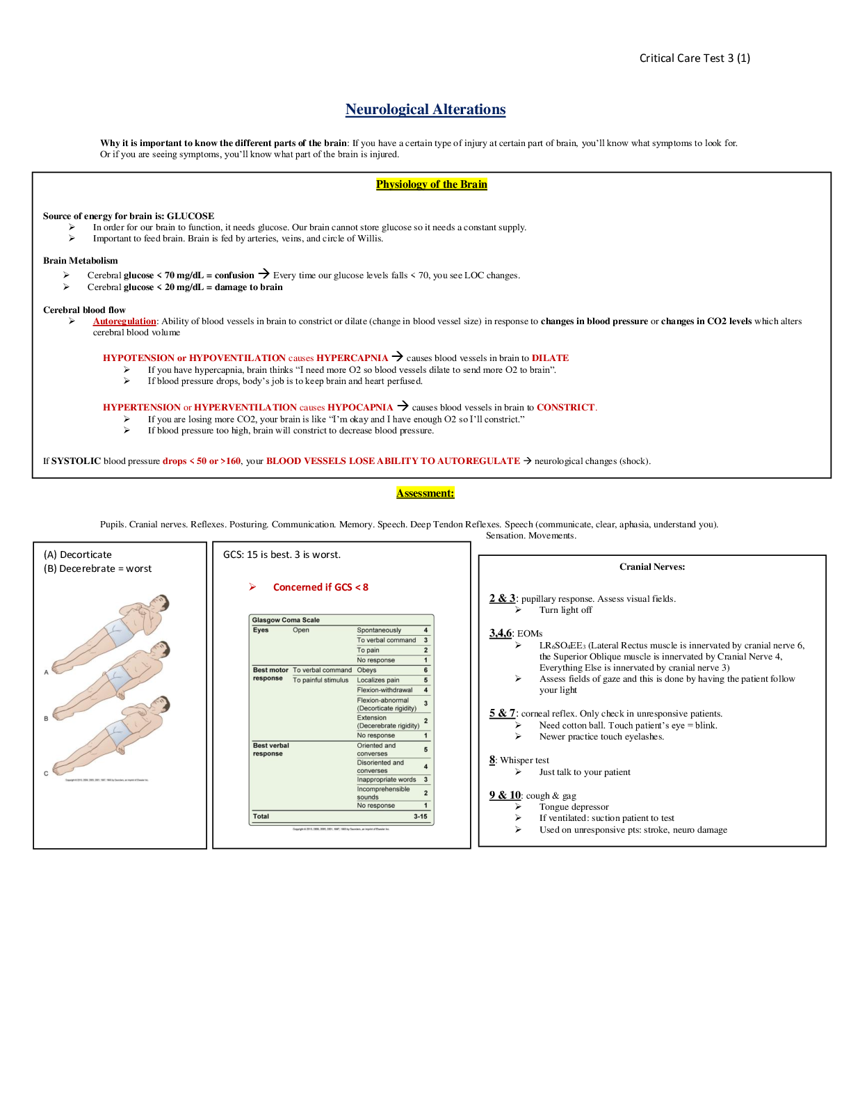 document-preview