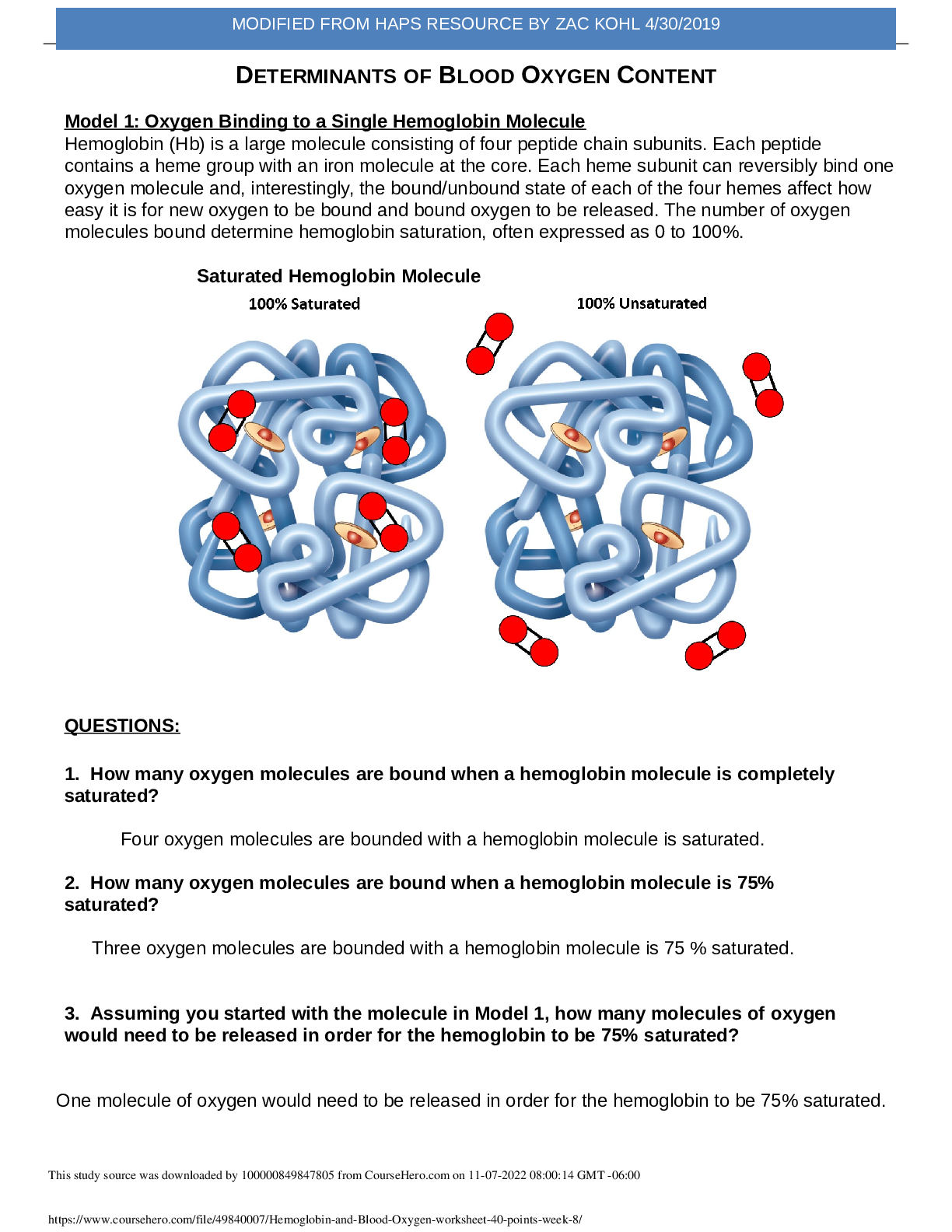 Preview image for BIOS 255_DETERMINANTS OF BLOOD OXYGEN CONTENT Model 1 | Oxygen Binding to a Single Hemoglobin Molecule | Hemoglobin and Blood Oxygen worksheet | 40 points Week 8