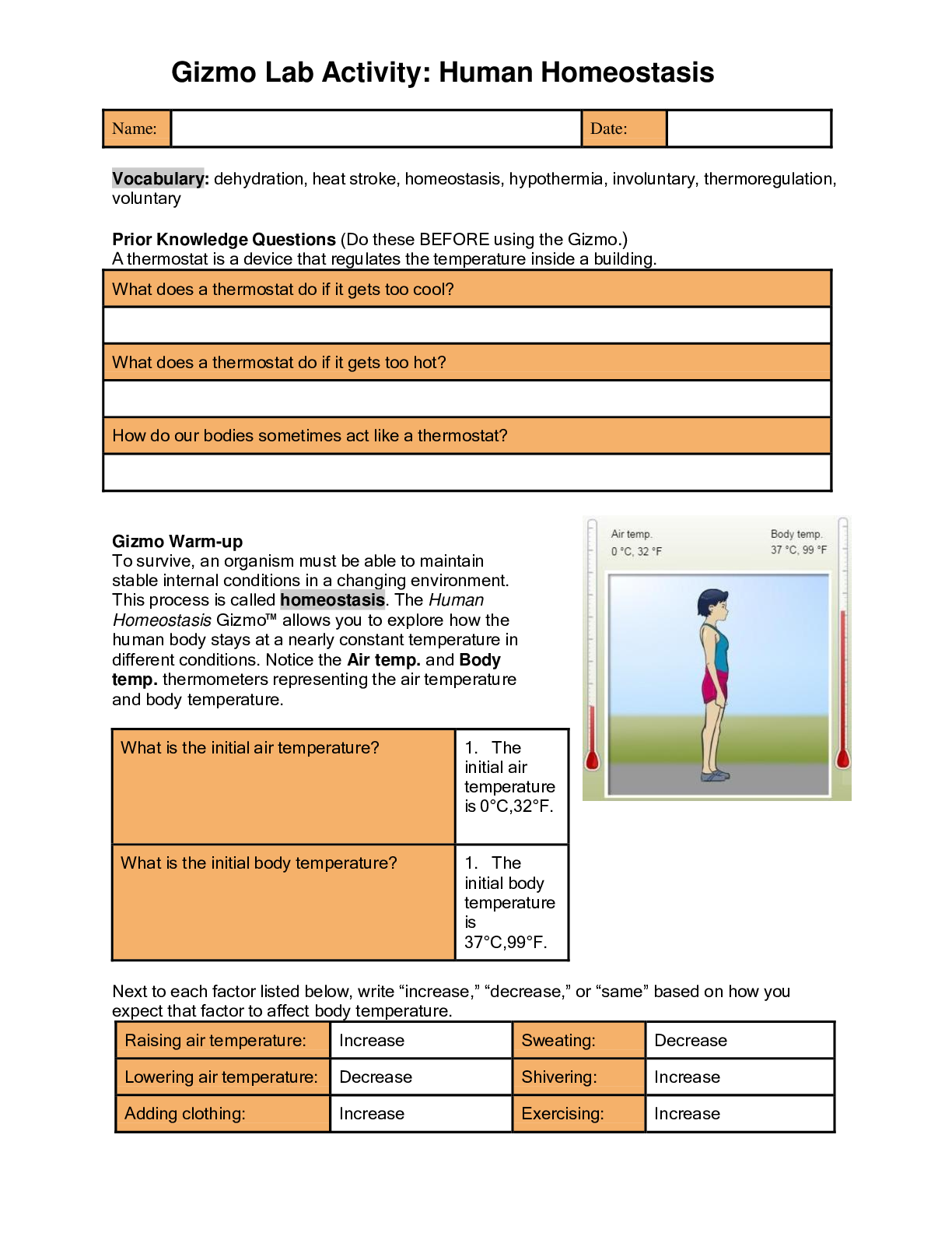 Preview image of Gizmo Lab Activity: Human Homeostasis document