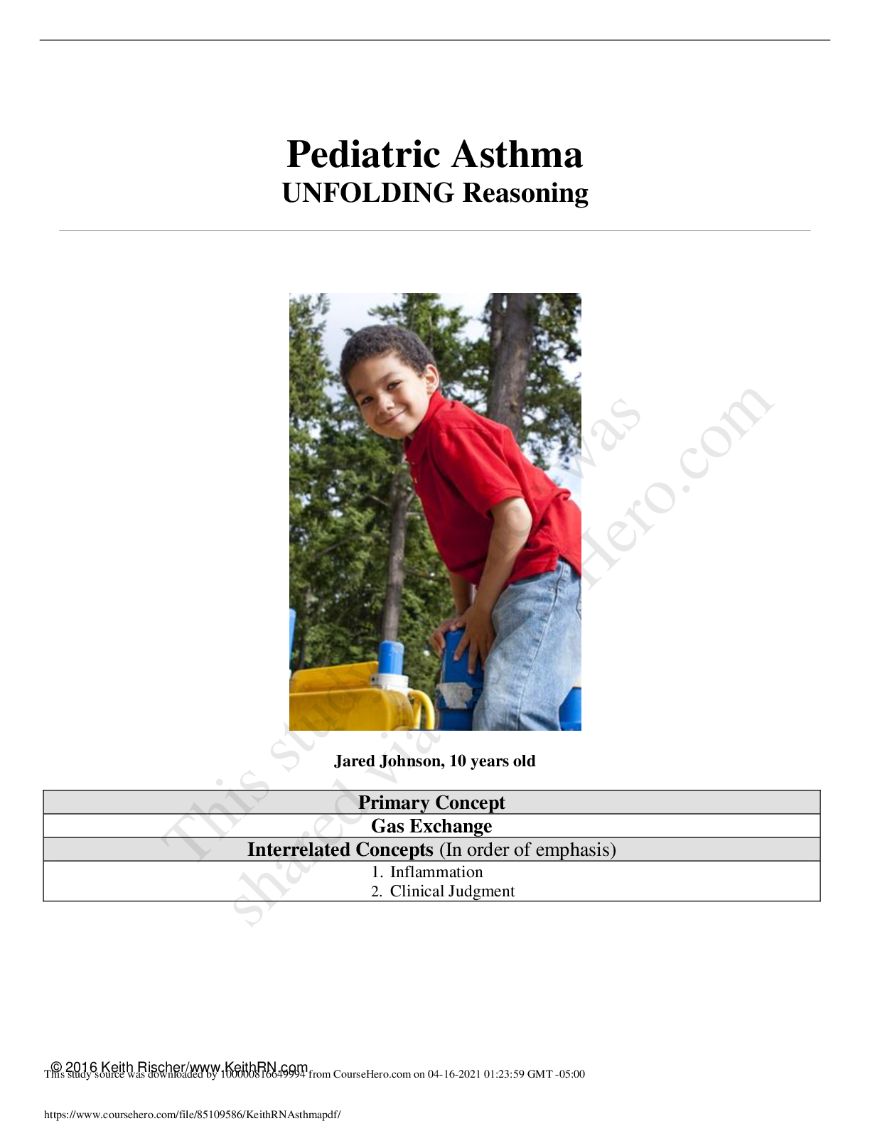 document-preview