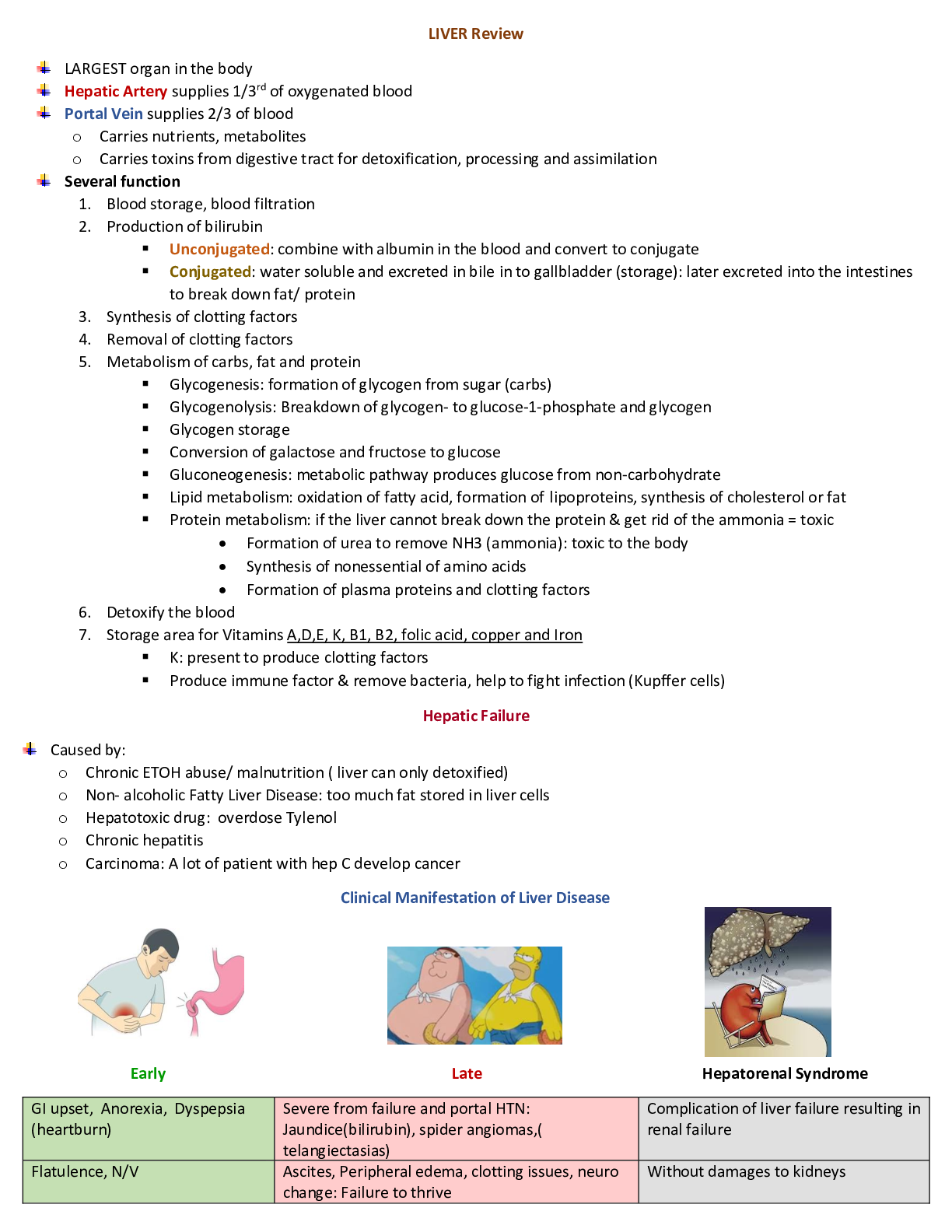 Preview image of LIVER summary 2020 Latest Liver review document