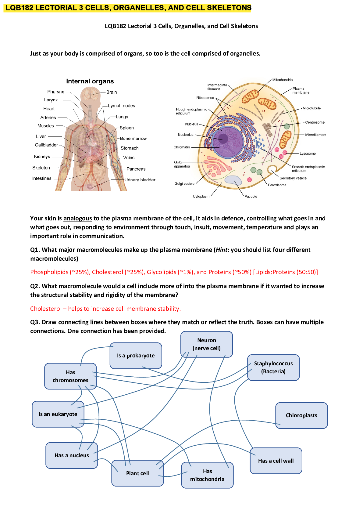 Preview image for LQB182 Lectorial 3 Cells, Organelles, Cell Skeletons Answers