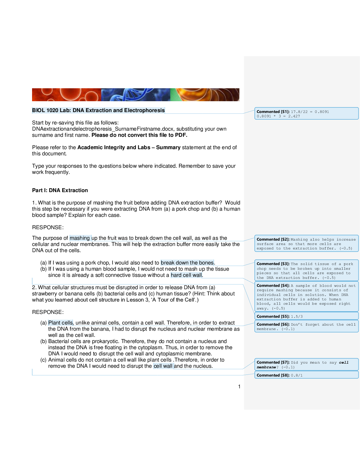 document-preview