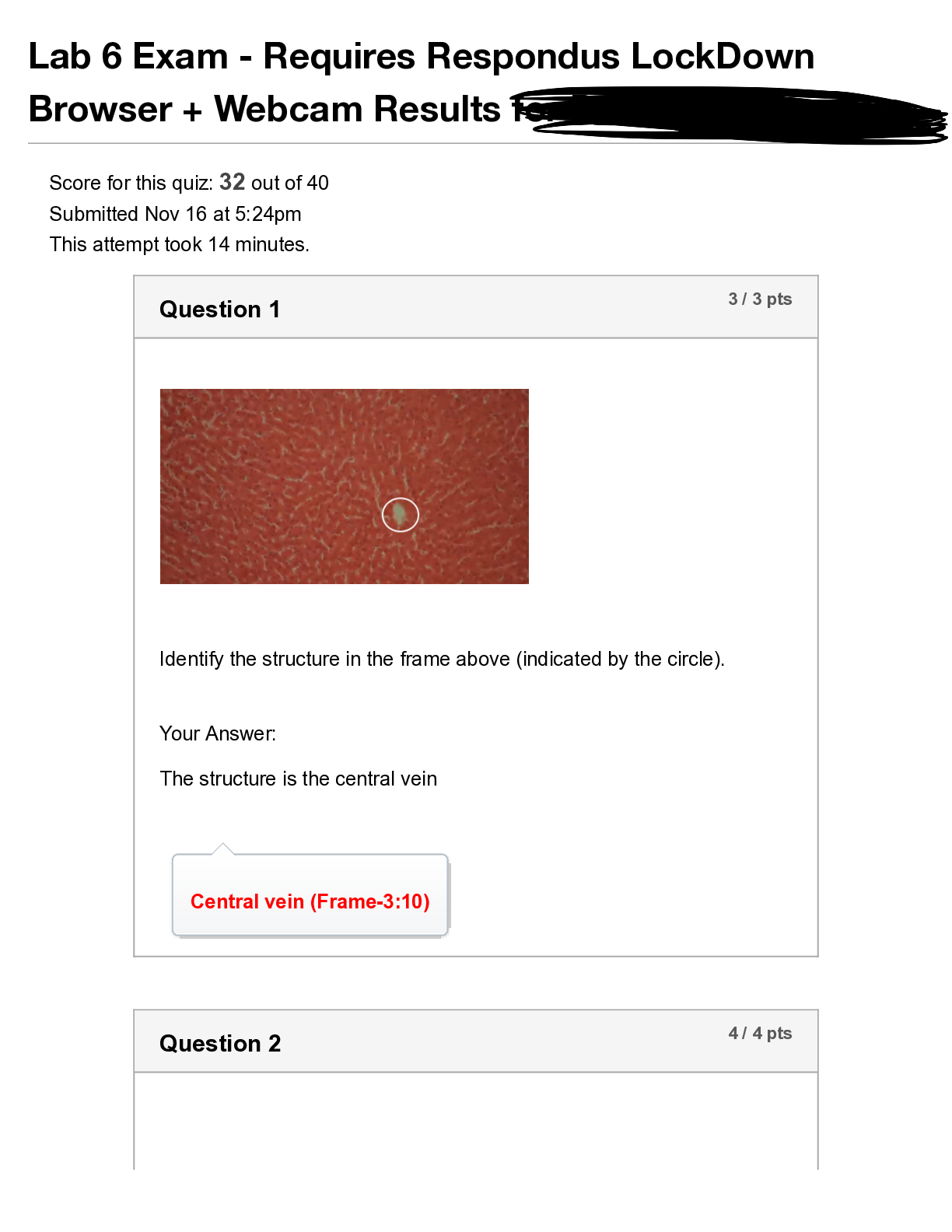 document-preview