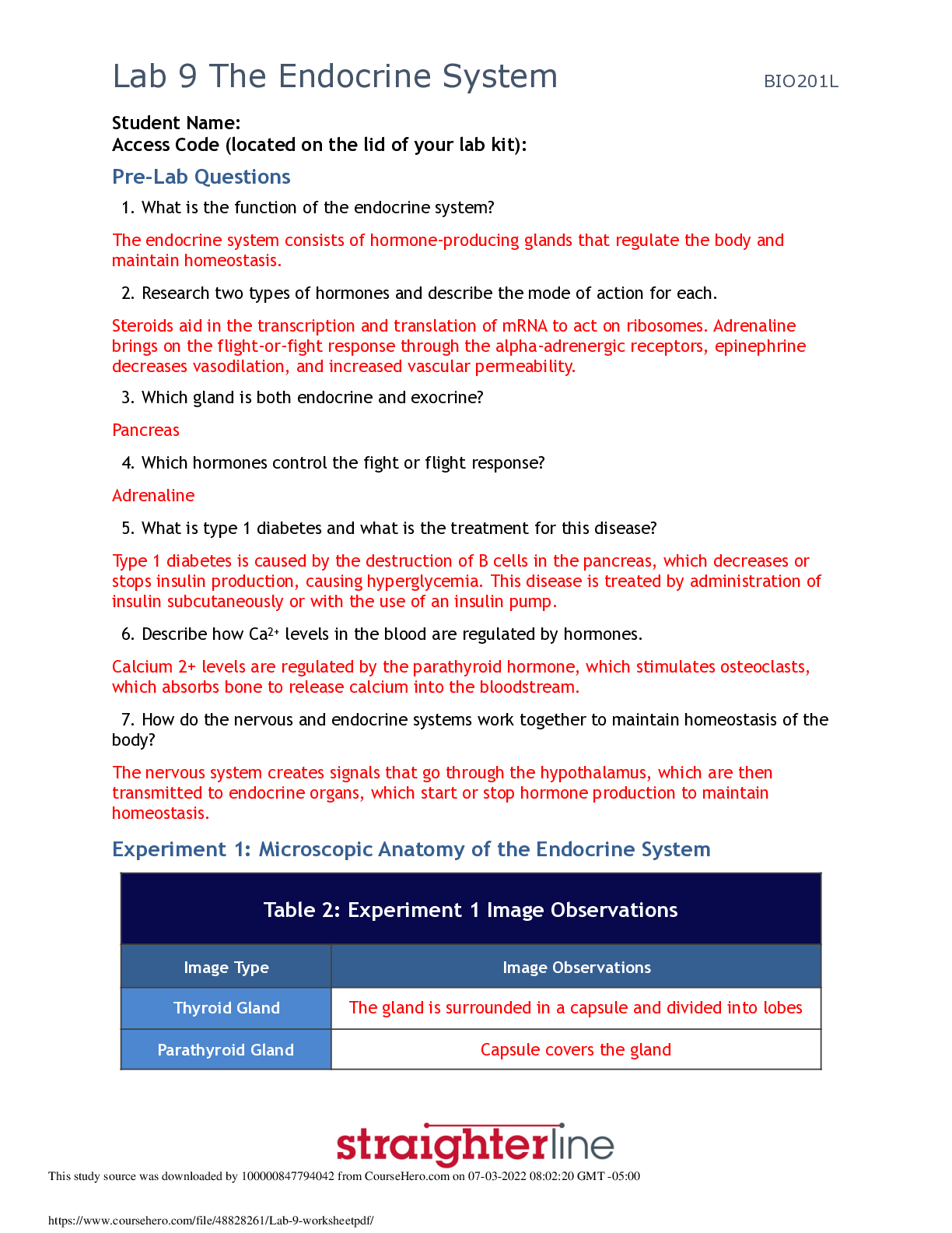 document-preview