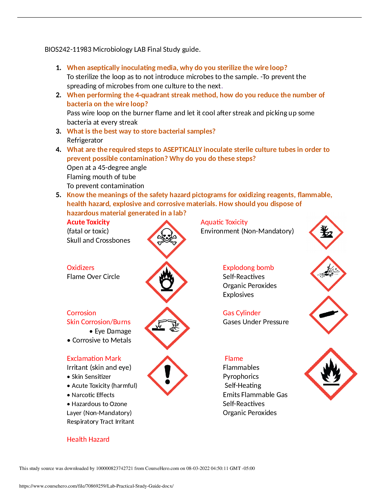 document-preview