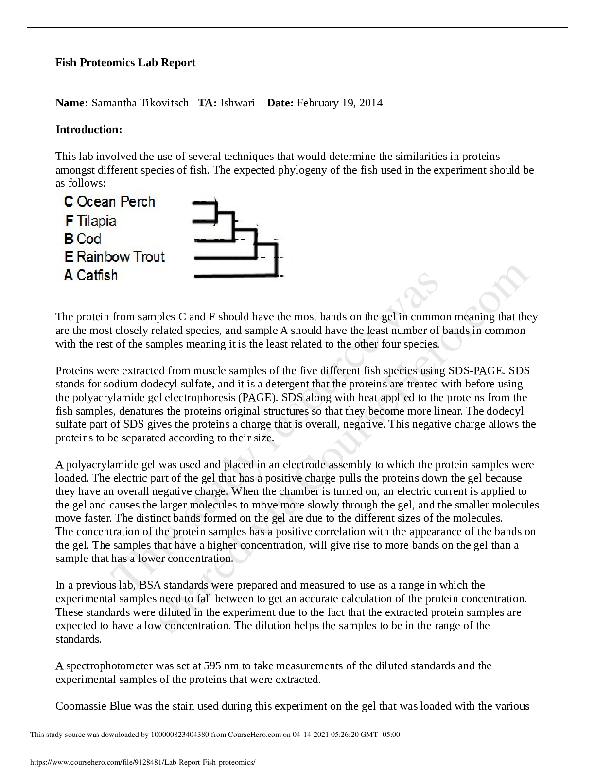 document-preview