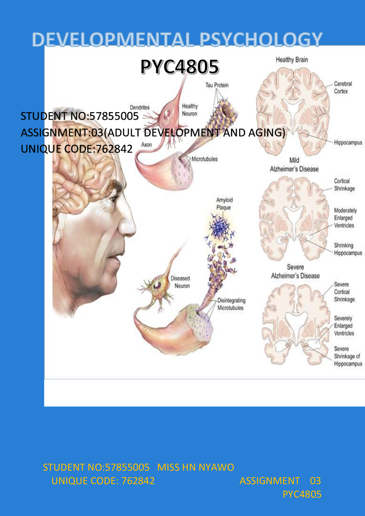 Preview image of DEVELOPMENTAL PSYCHOLOGY   PYC4805 document