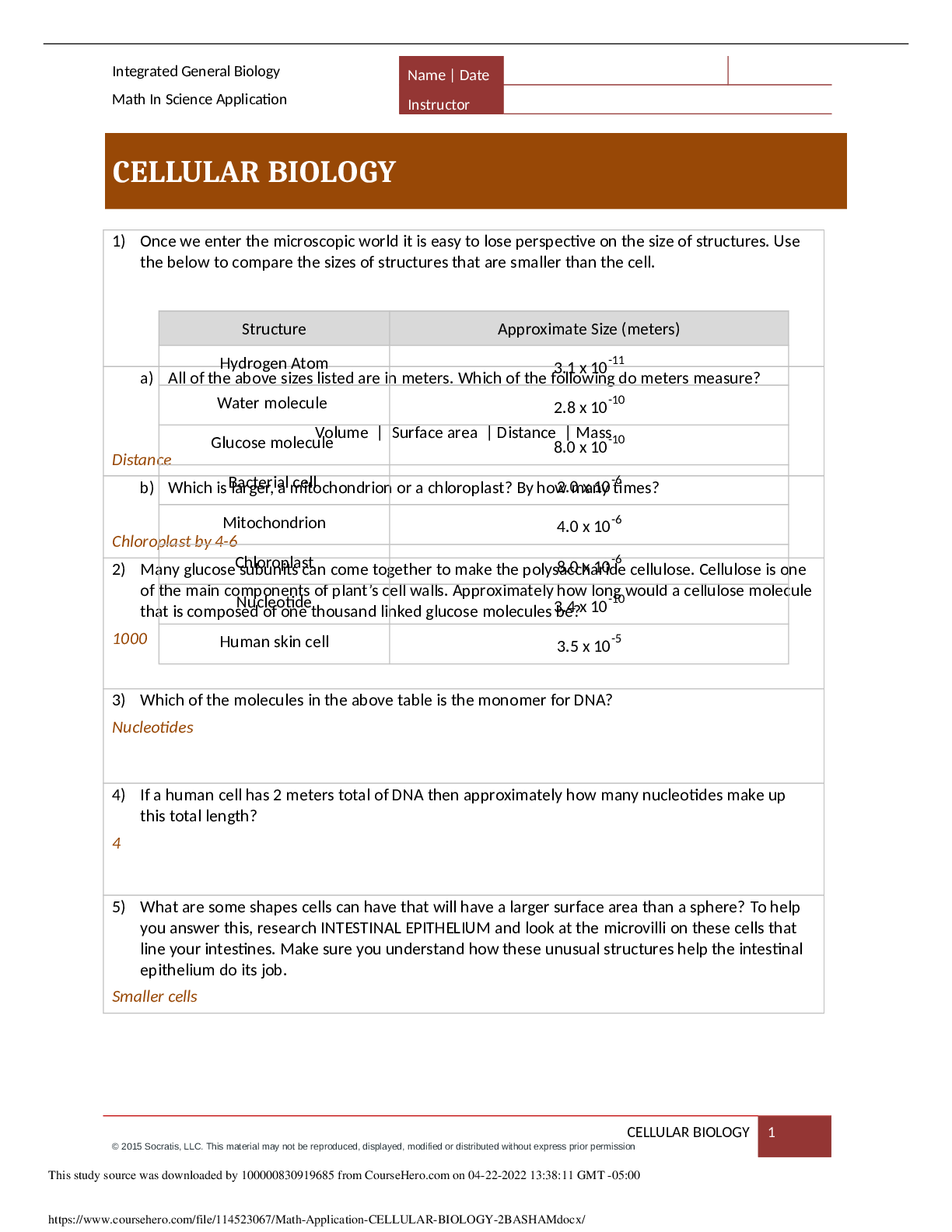 Preview image of Cincinnati State Technical and Community CollegeBIO 100 Math Application CELLULAR BIOLOGY document