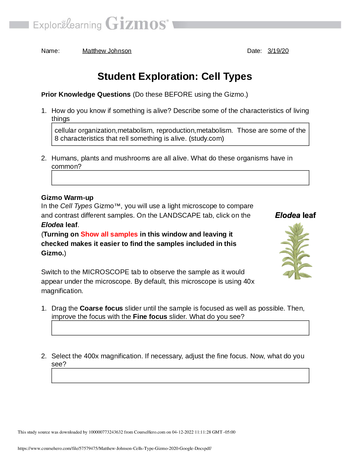 document-preview