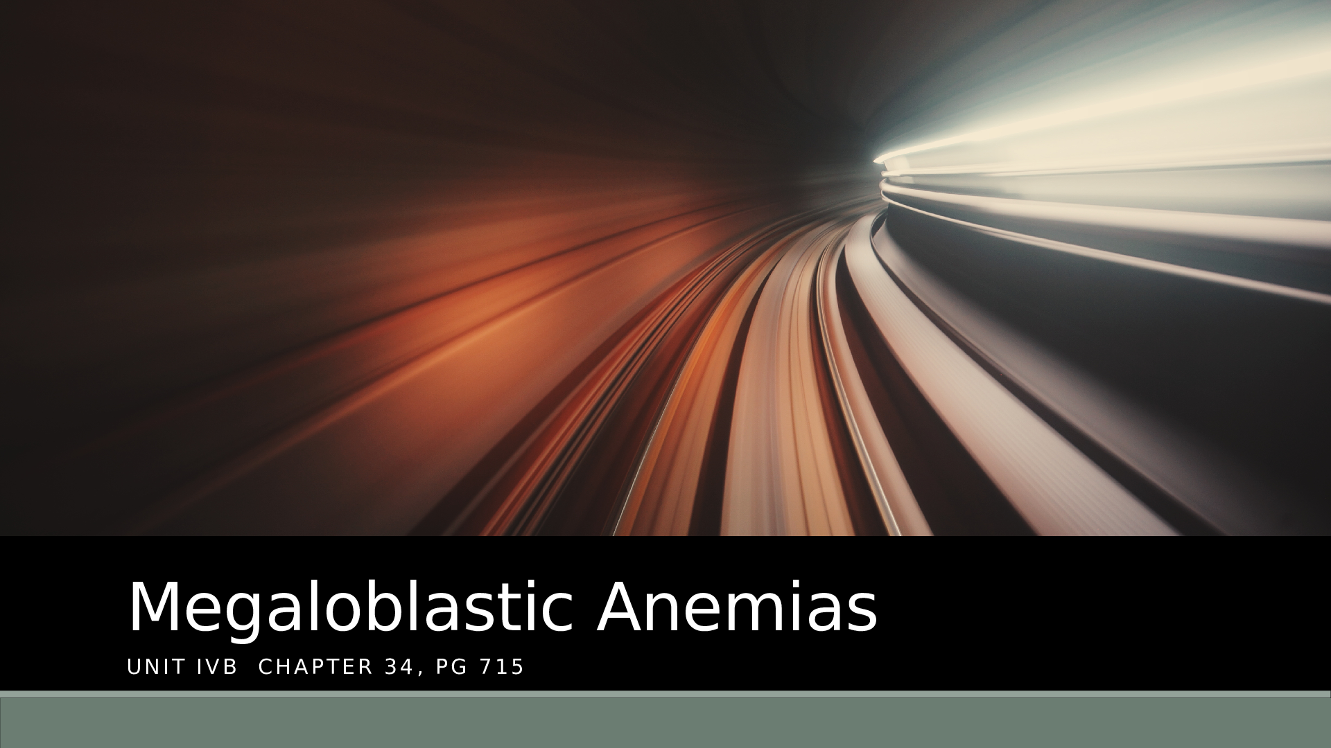 Preview image for Triton College - PATHO 283 Megaloblastic anemias Unit IVB