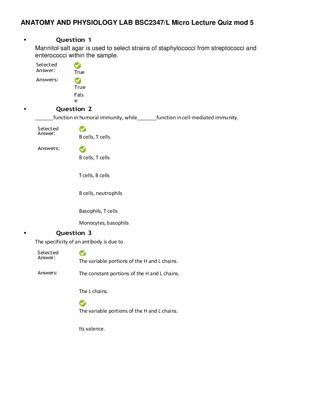 document-preview