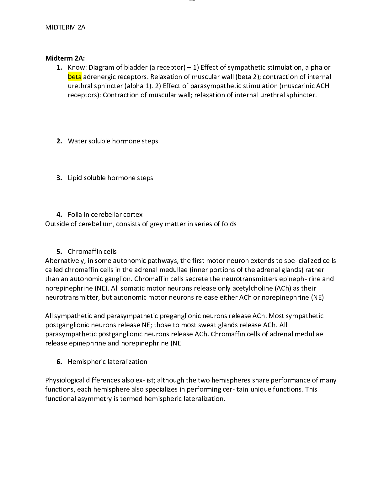 document-preview