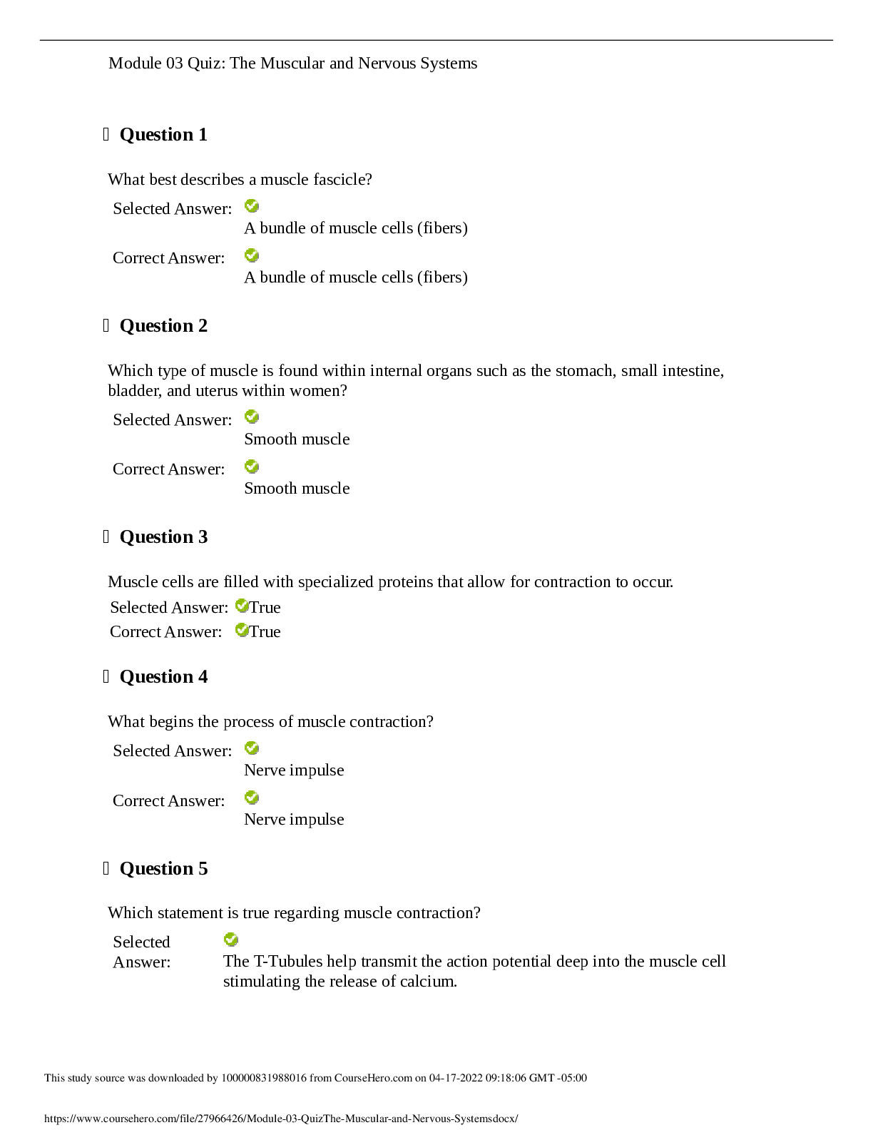 document-preview