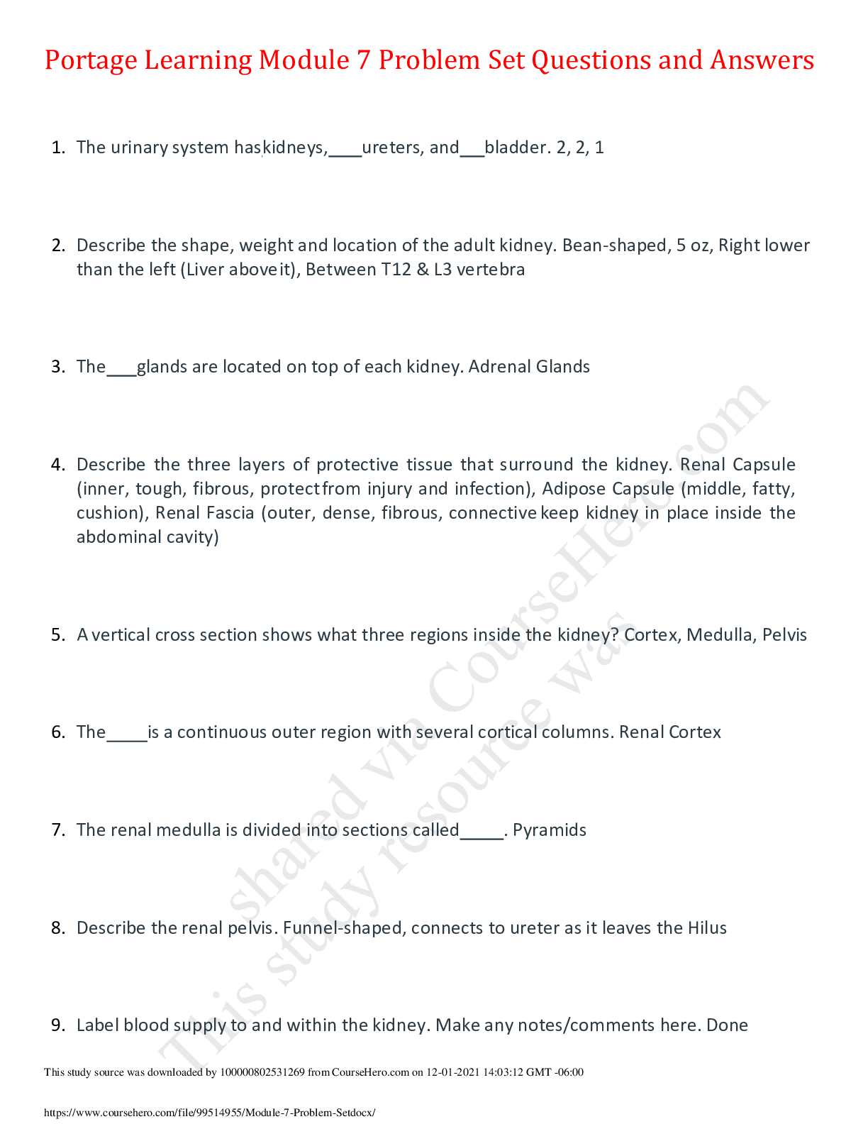 document-preview