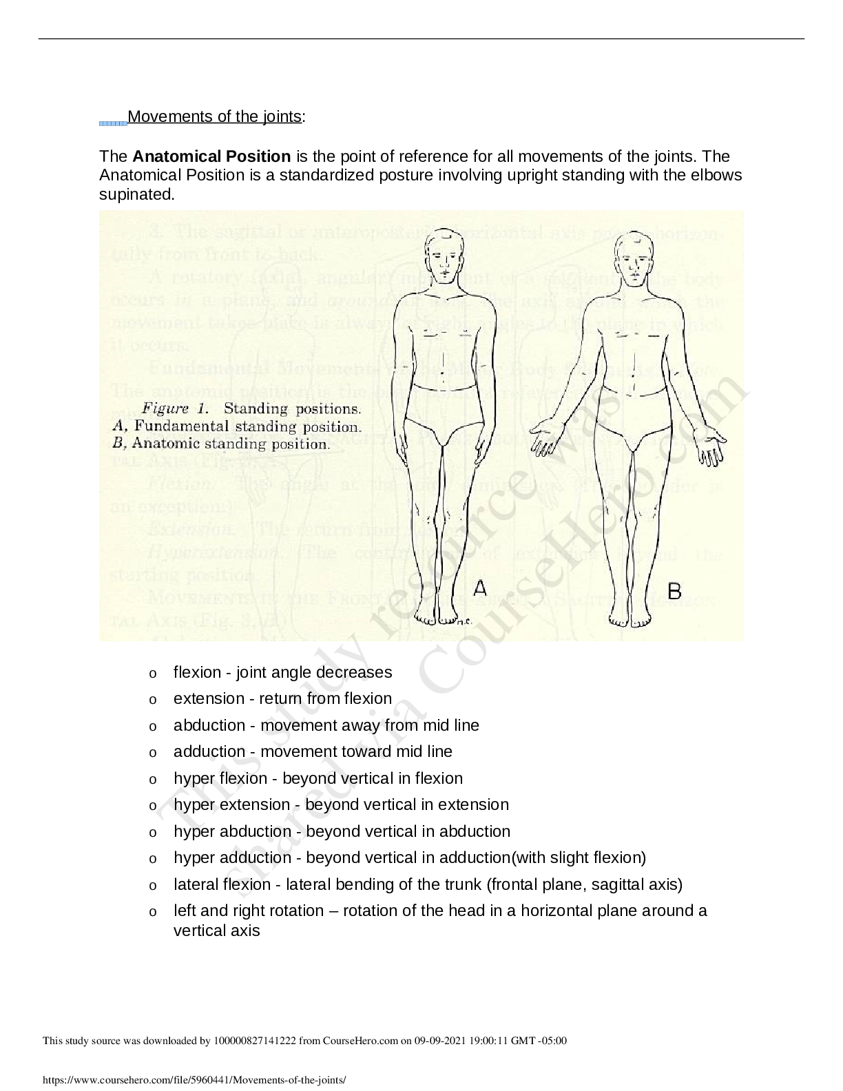 Preview image for Movements of the joints