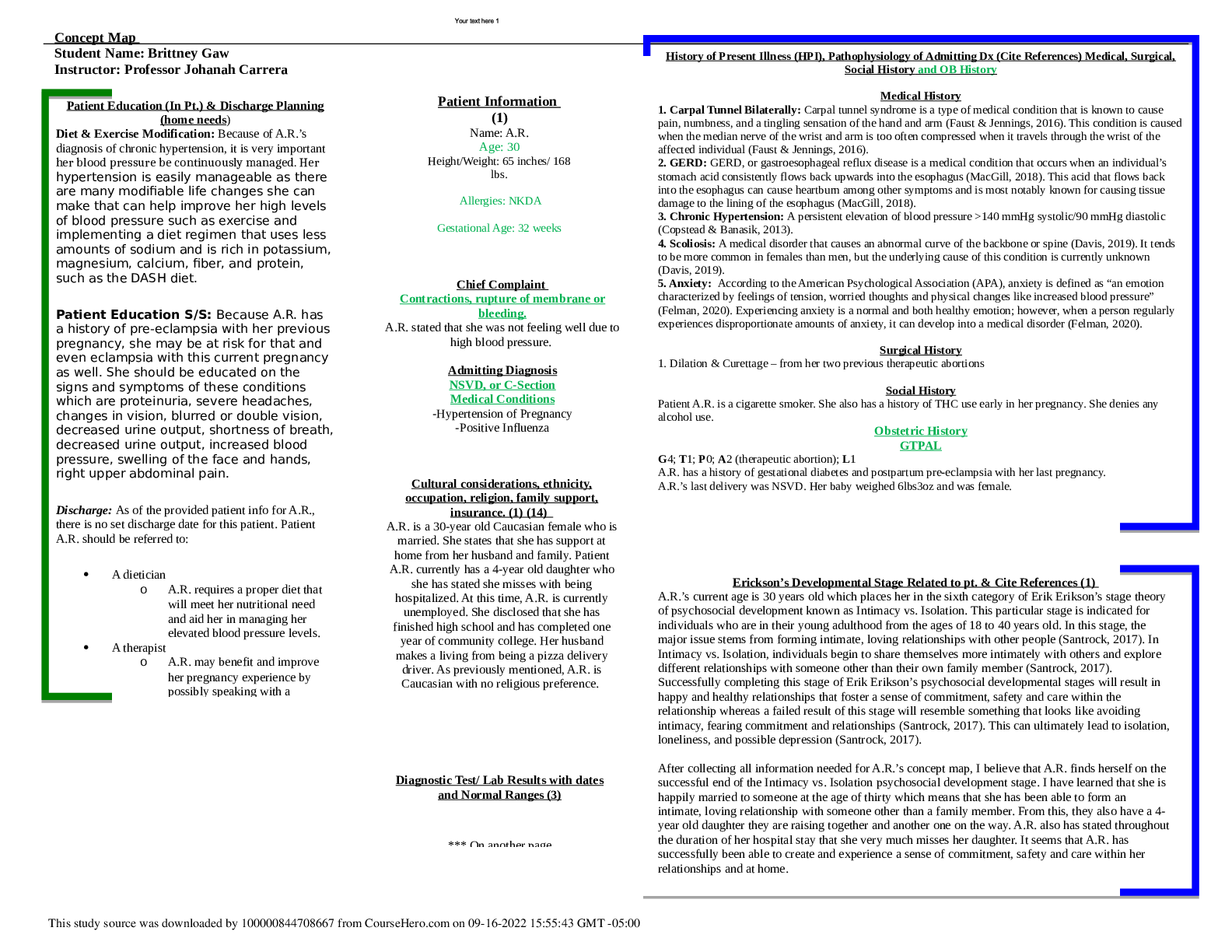 Preview image for Nursing Concept Map - N316L.docx