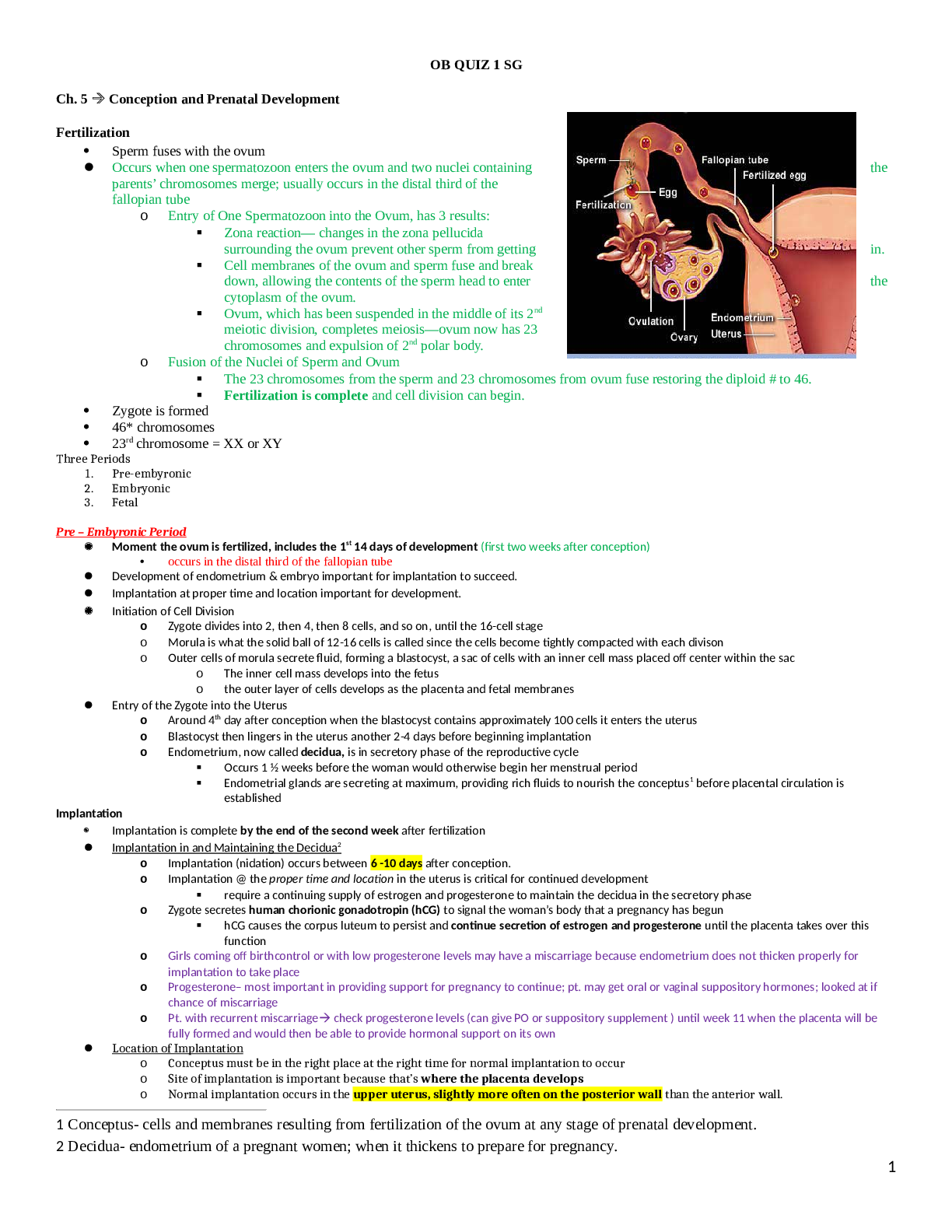 Preview image of OB EXAM 1 SG COMPLETE.docx document
